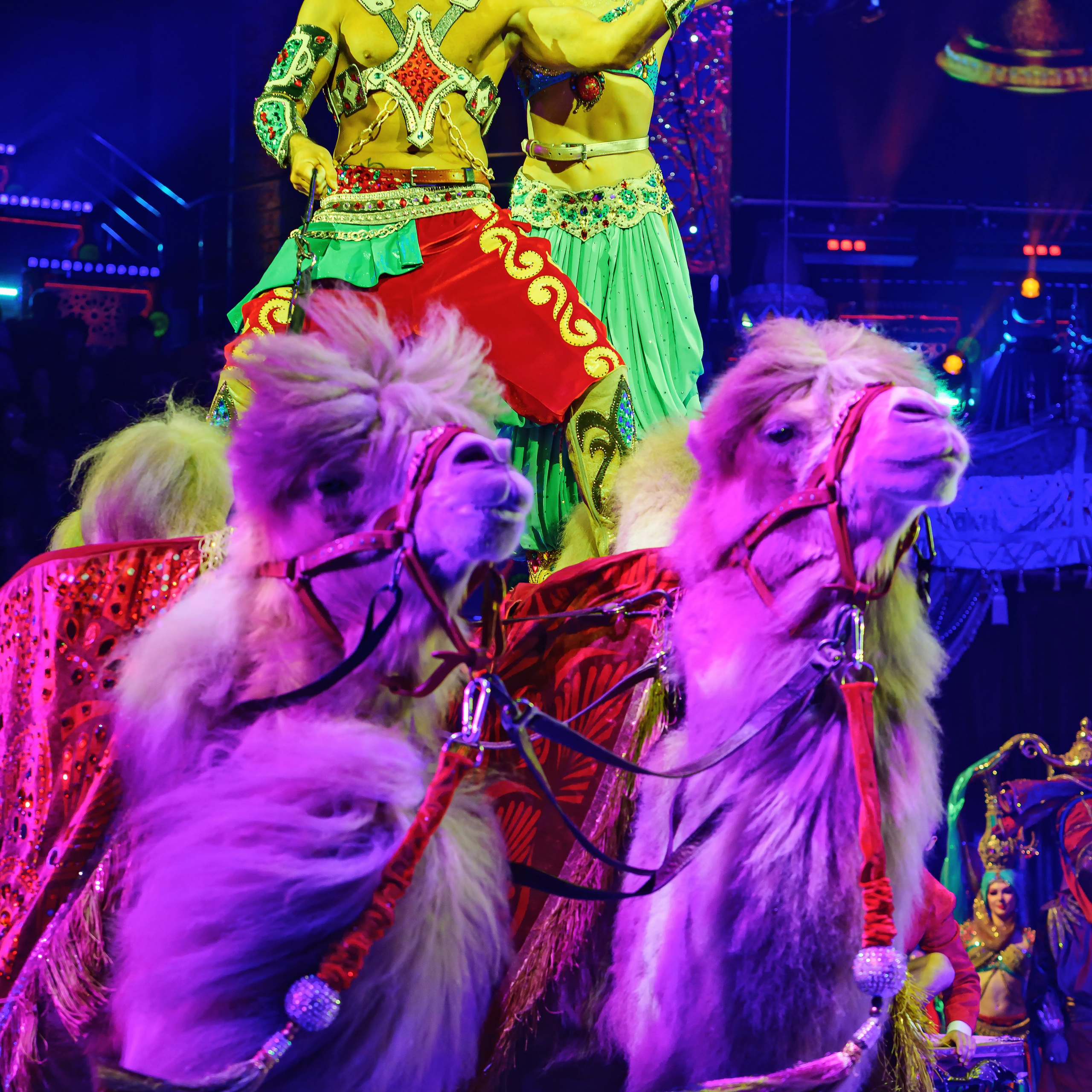 Песчаная сказка — Нижегородский Государственный Цирк (Премьера). Цирковой фотограф Андрей Пухов (Jazz)