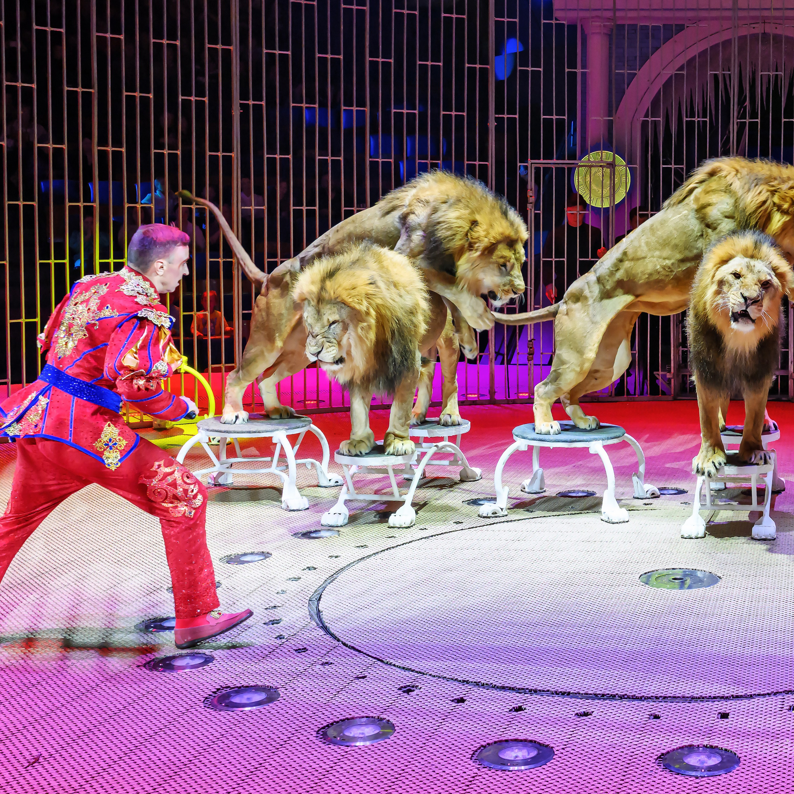 «13 месяцев. Шоу ледяных фонтанов»❄💙. Фотограф Андрей Пухов (Jazz)