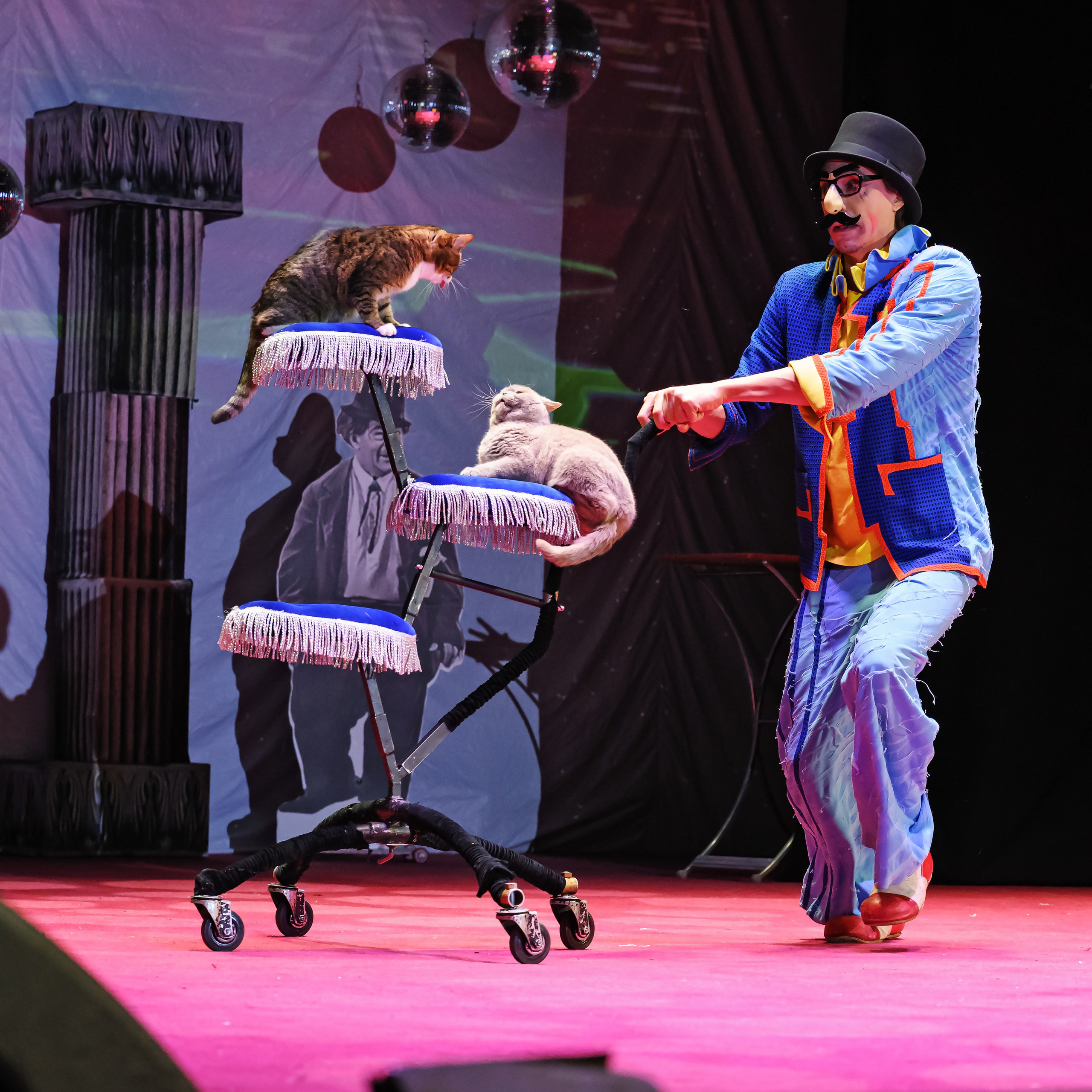 Великий клоун, Народный артист России, Юрий Куклачёв со звёздами эстрады и цирка, уникальный бенефис!. Фотограф Андрей Пухов (Jazz)