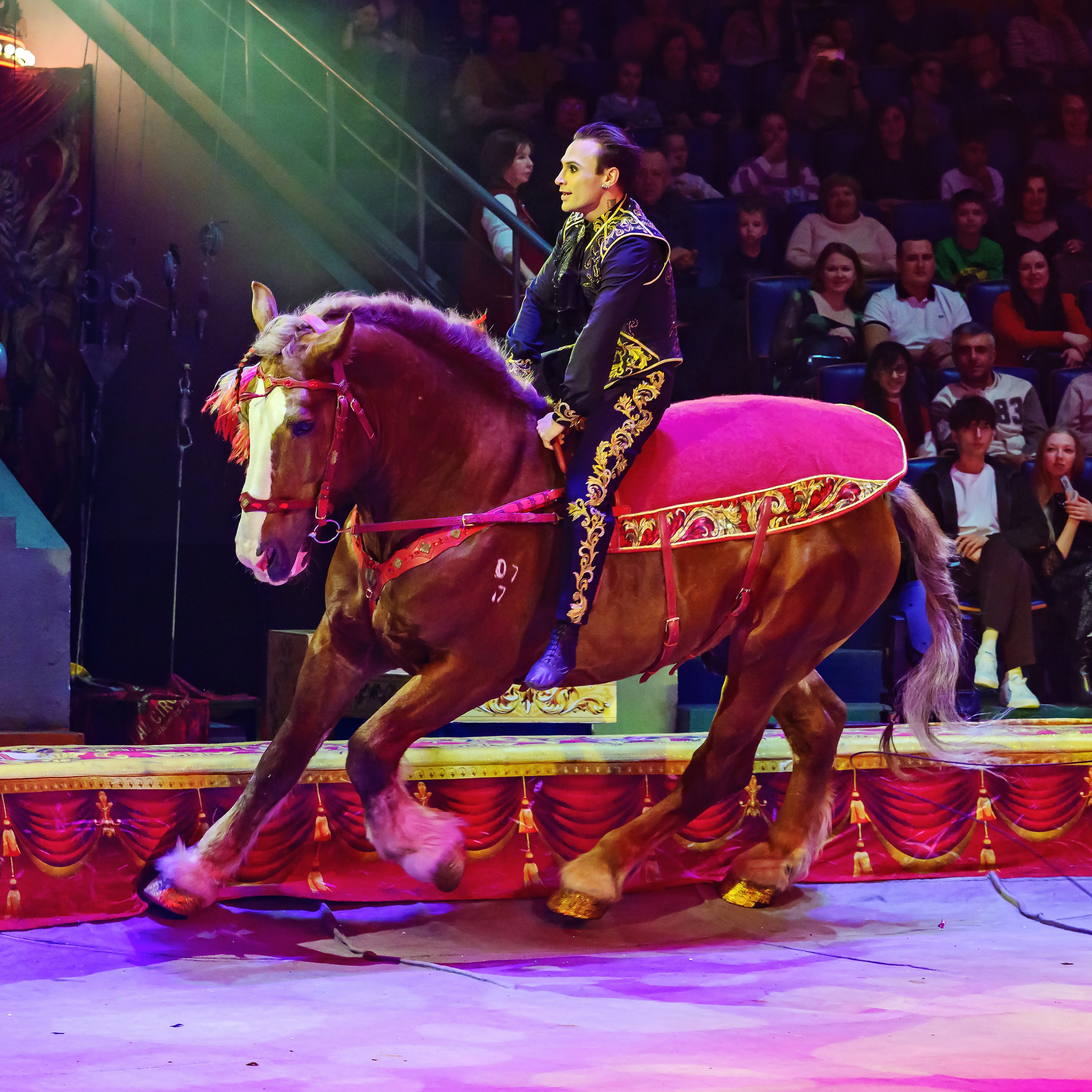 Royal Circus (новые номера). Фотограф Андрей Пухов (Jazz)