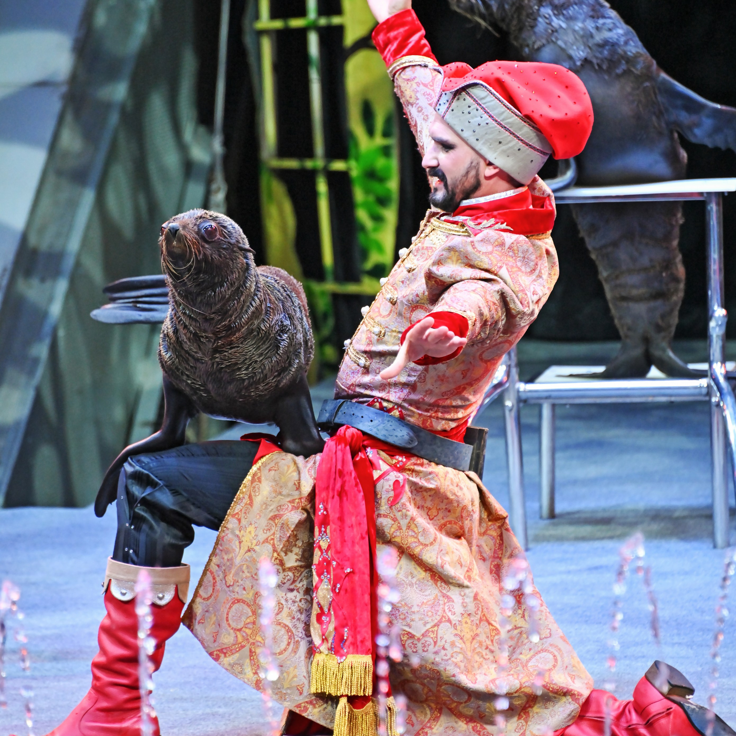 🎪 «Цирк на воде💦 🏰Царство фонтанов**»✨🌊🎭. Фотограф Андрей Пухов (Jazz)