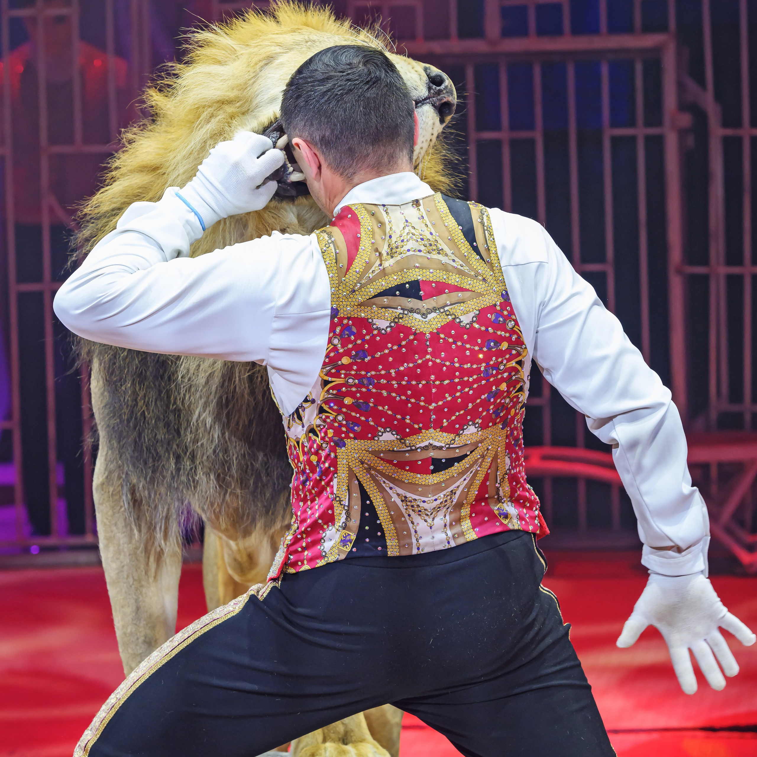 Принц Цирка (Продюсерский центр Влада Гончарова)🎪🦁. Фотограф Андрей Пухов (Jazz)