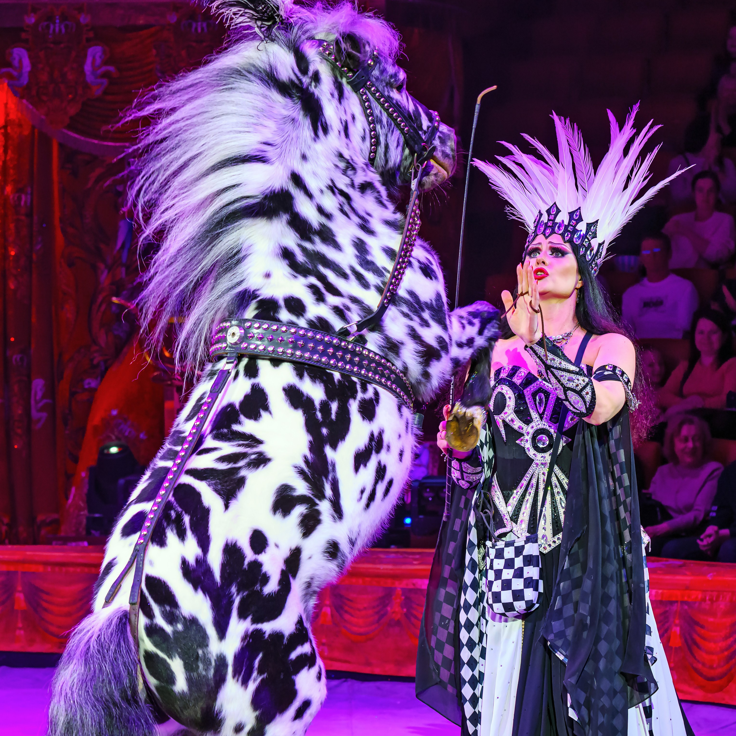 Шоу «Королевский цирк». Фотограф Андрей Пухов (Jazz)