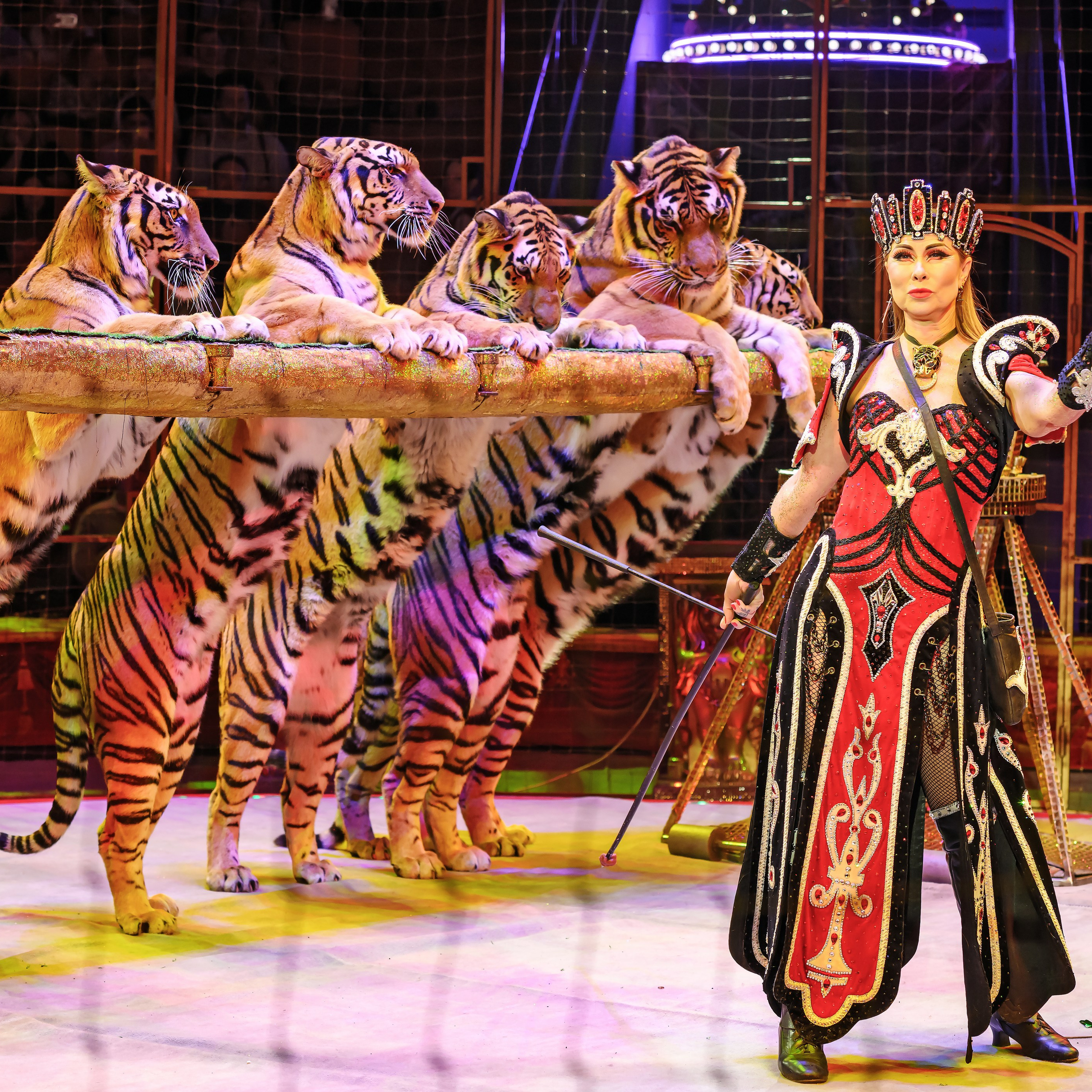 Шоу «Королевский цирк». Фотограф Андрей Пухов (Jazz)
