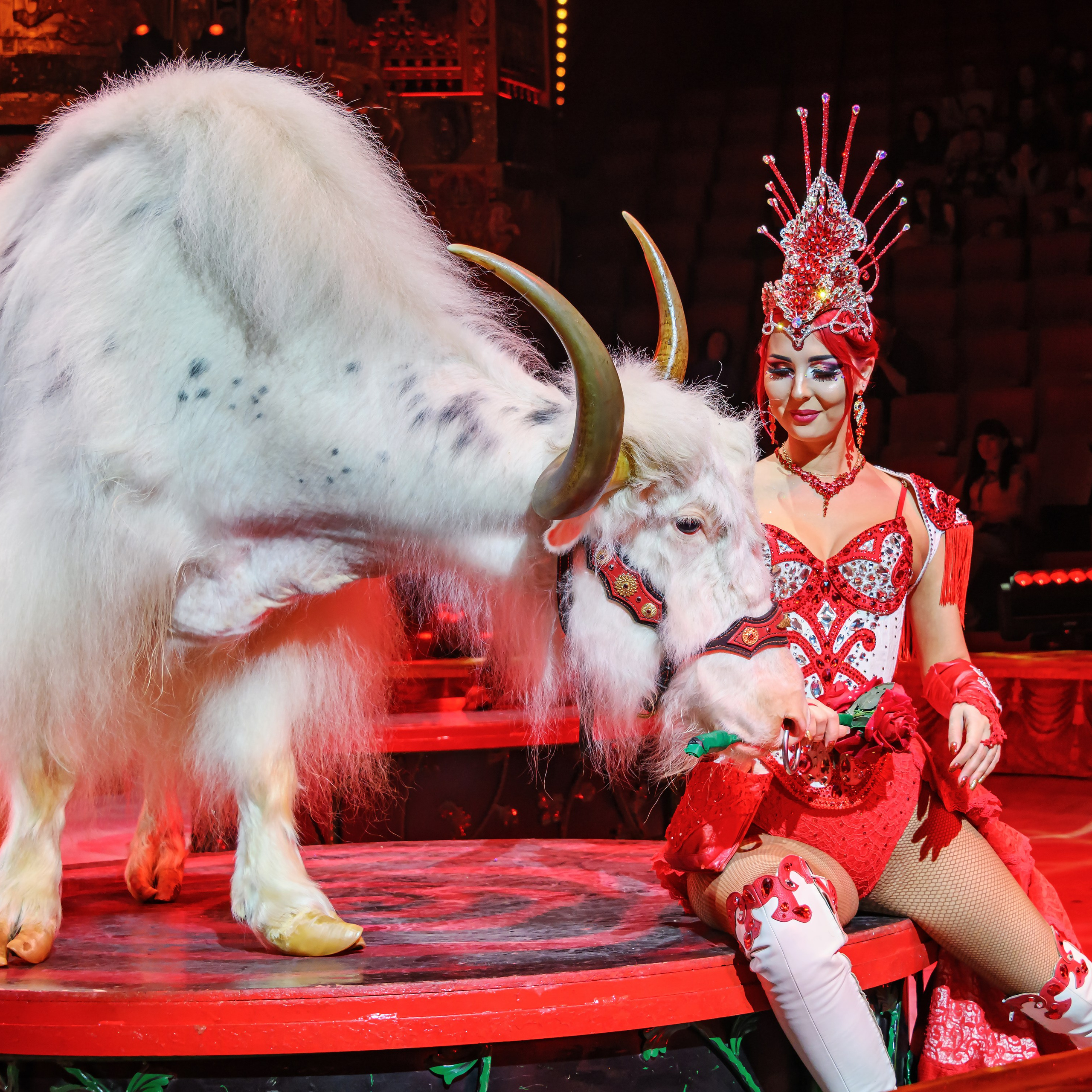 Вечное искусство удивлять: Королевский цирк Гии Эрадзе 👑 Роскошь здесь в каждой детали 💫✨⭐. Фотограф Андрей Пухов (Jazz)