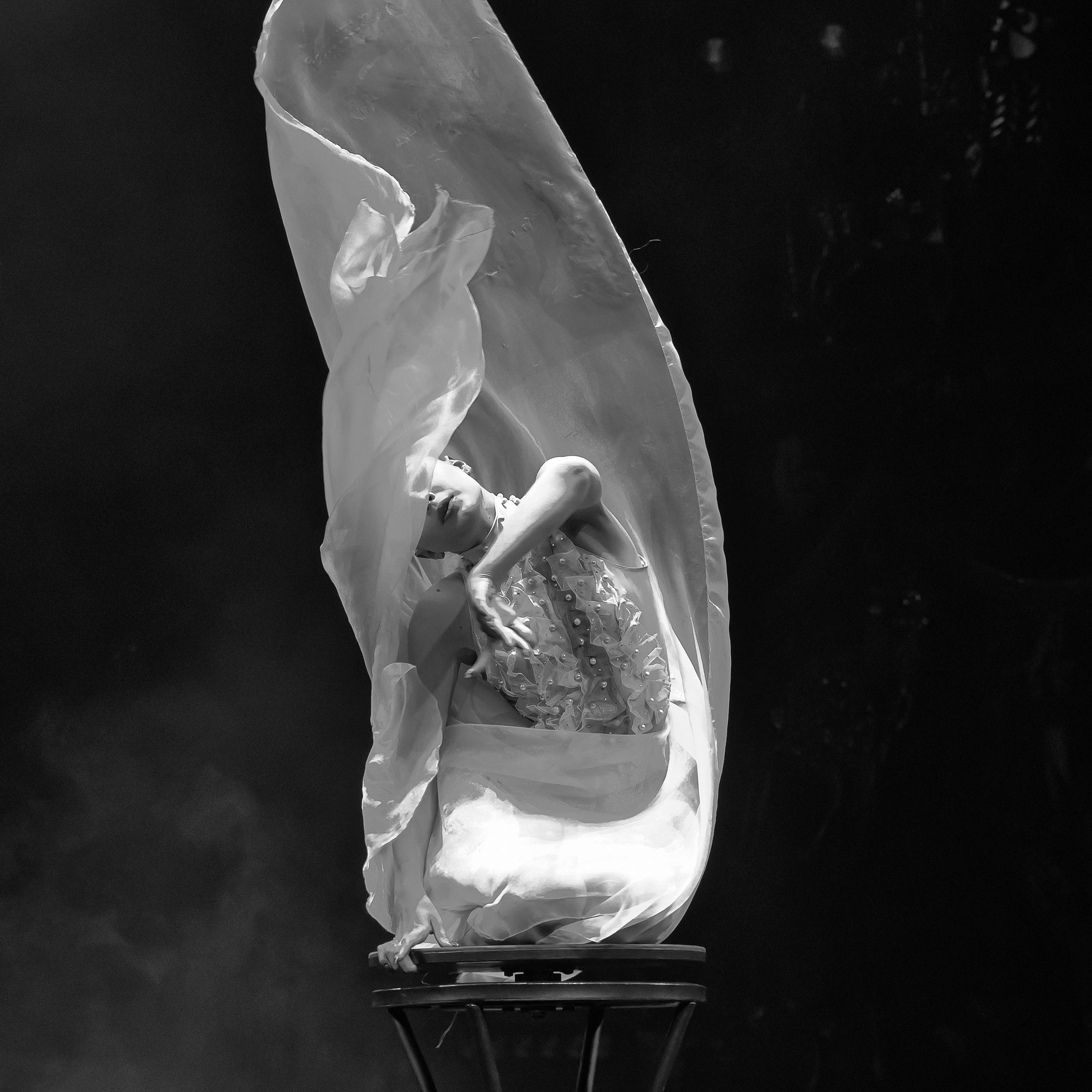 Royal Circus (новые номера). Фотограф Андрей Пухов (Jazz)