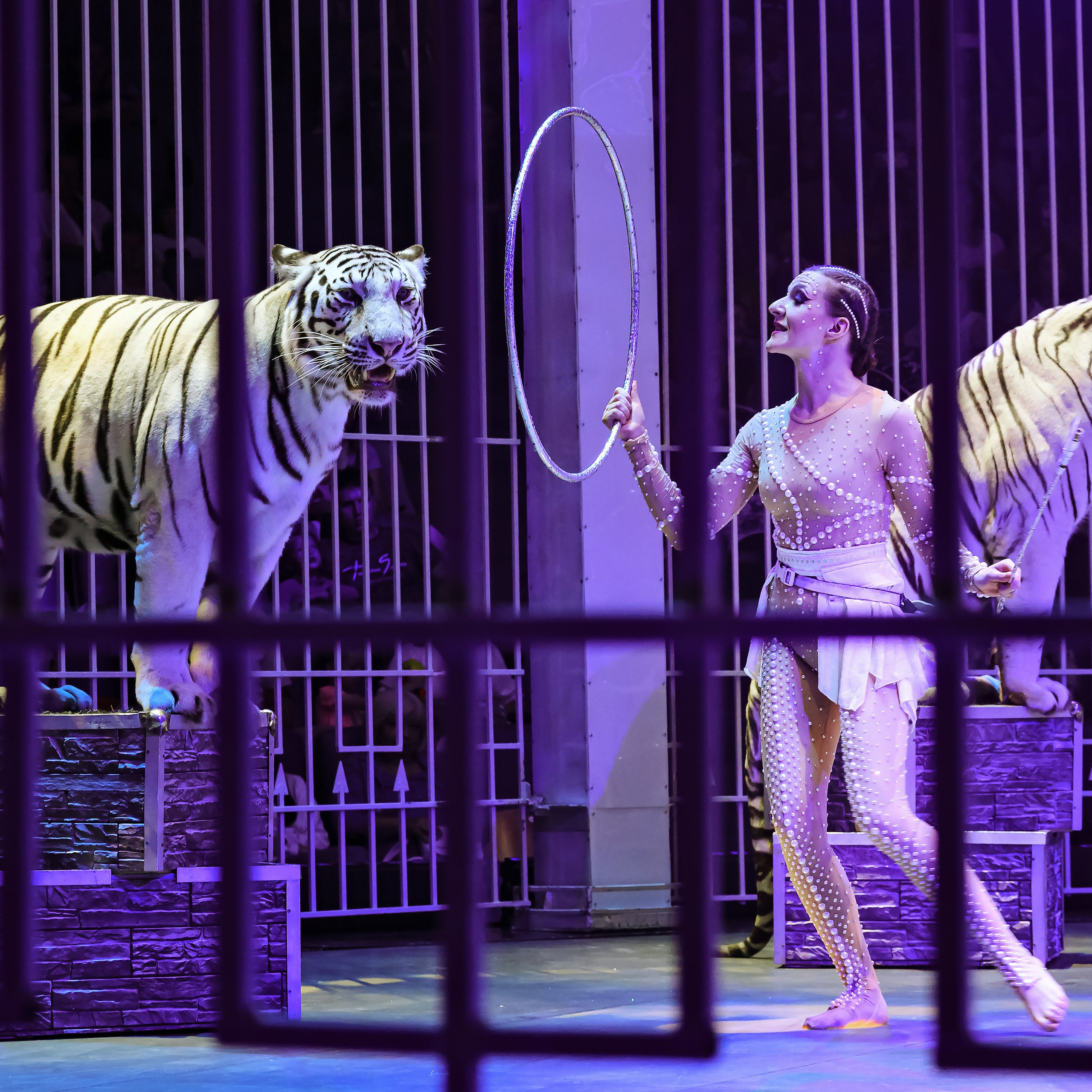 🍭Вкусное шоу «WOW»🍫. Фотограф Андрей Пухов (Jazz)