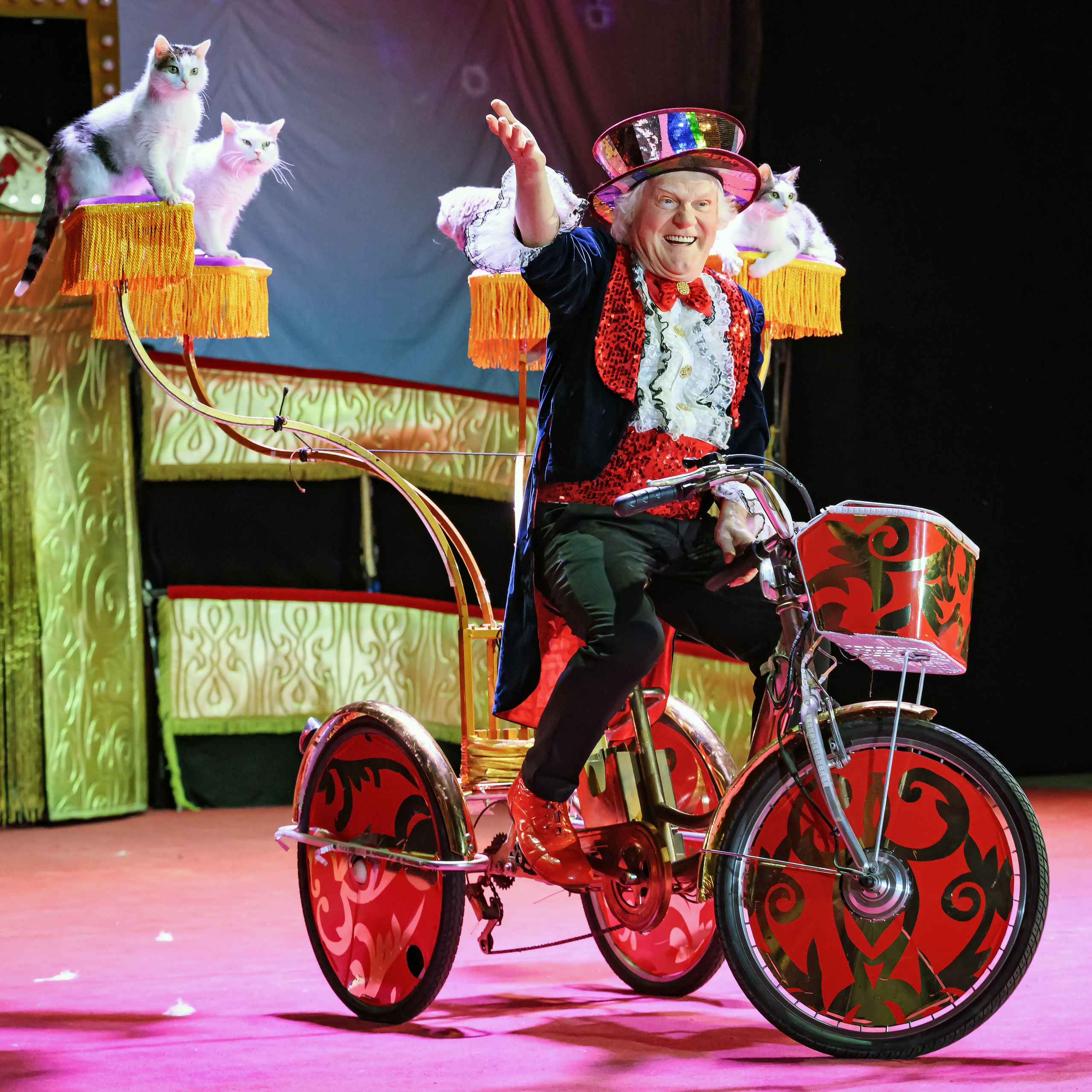 Великий клоун, Народный артист России, Юрий Куклачёв со звёздами эстрады и цирка, уникальный бенефис!