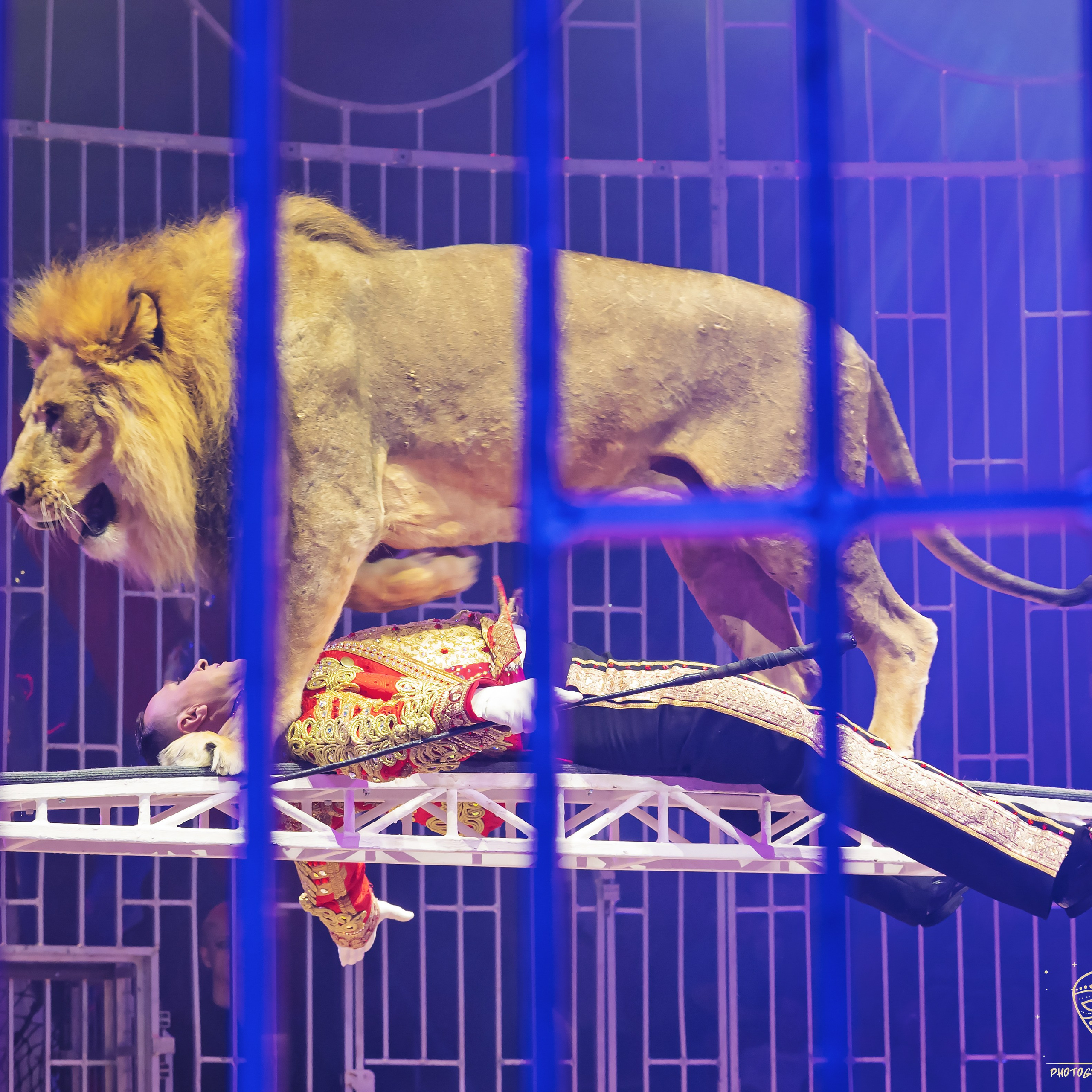 Шоу фонтанов «Принц цирка» 🎪 09.11.2024. Фотограф Андрей Пухов (Jazz)