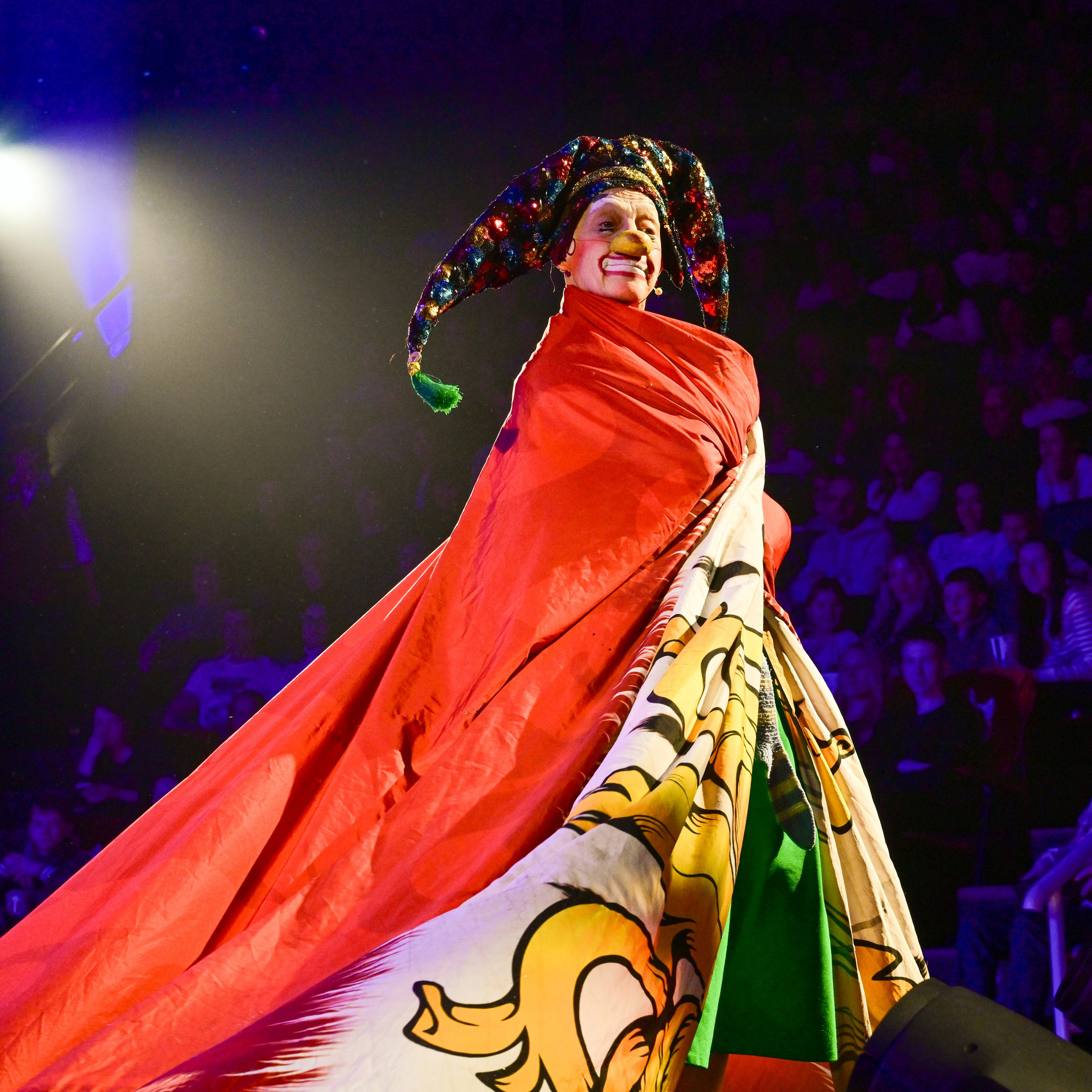 Шоу «Королевский цирк». Фотограф Андрей Пухов (Jazz)