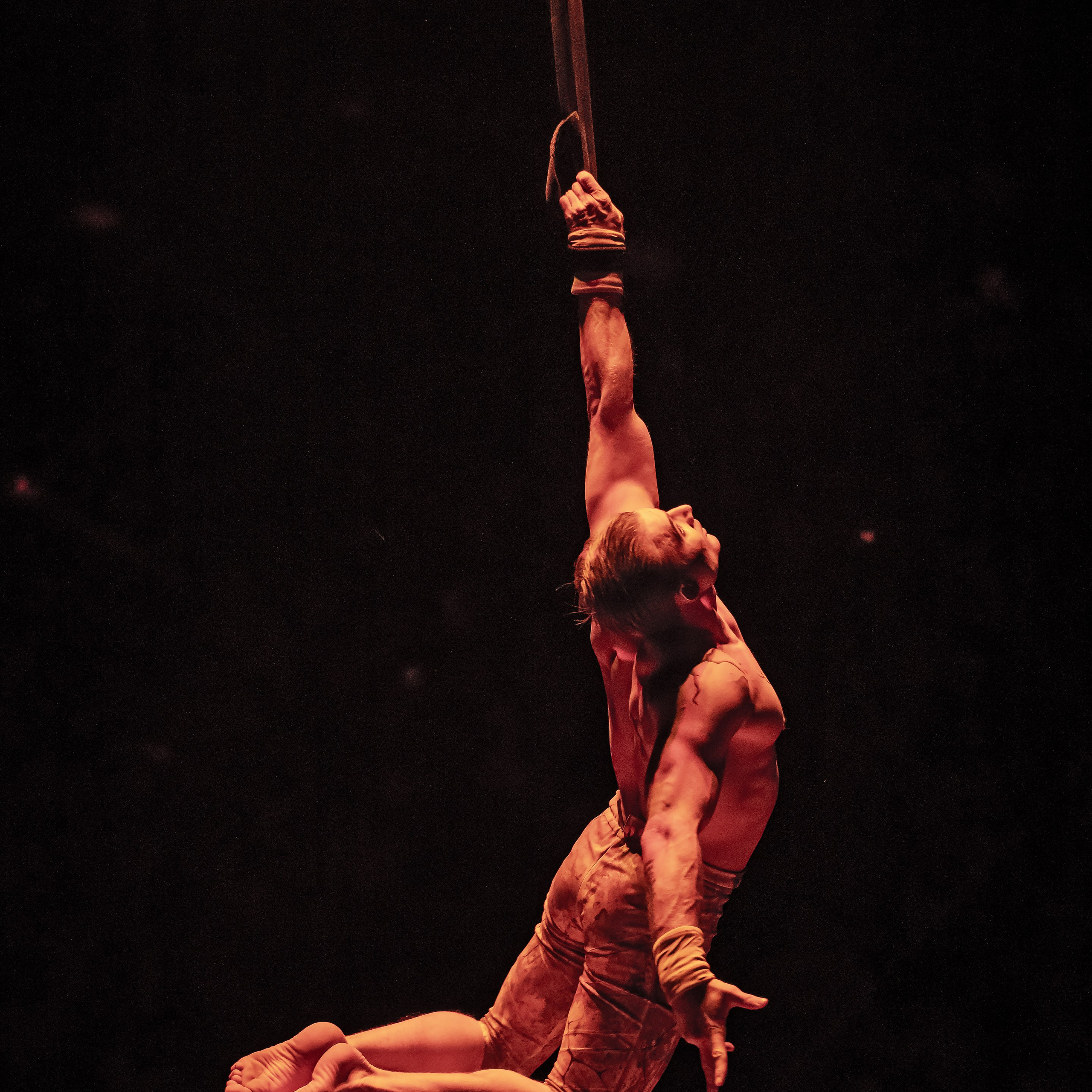 Вечное искусство удивлять: Королевский цирк Гии Эрадзе 👑 Роскошь здесь в каждой детали 💫✨⭐. Фотограф Андрей Пухов (Jazz)