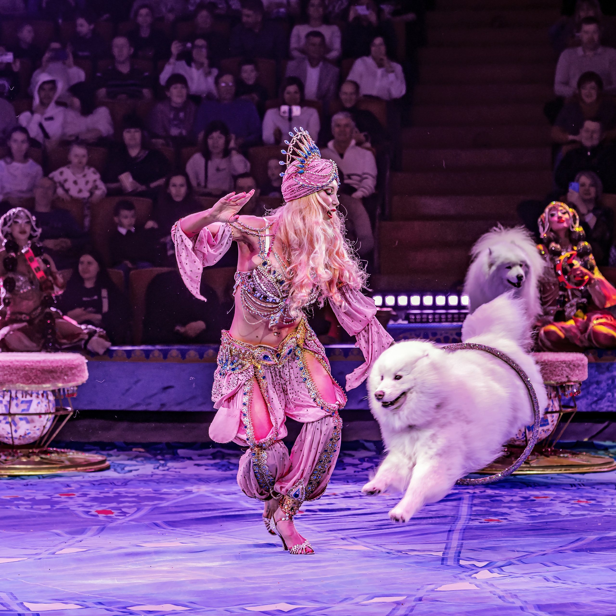 Песчаная сказка — Нижегородский Государственный Цирк (Премьера). Цирковой фотограф Андрей Пухов (Jazz)