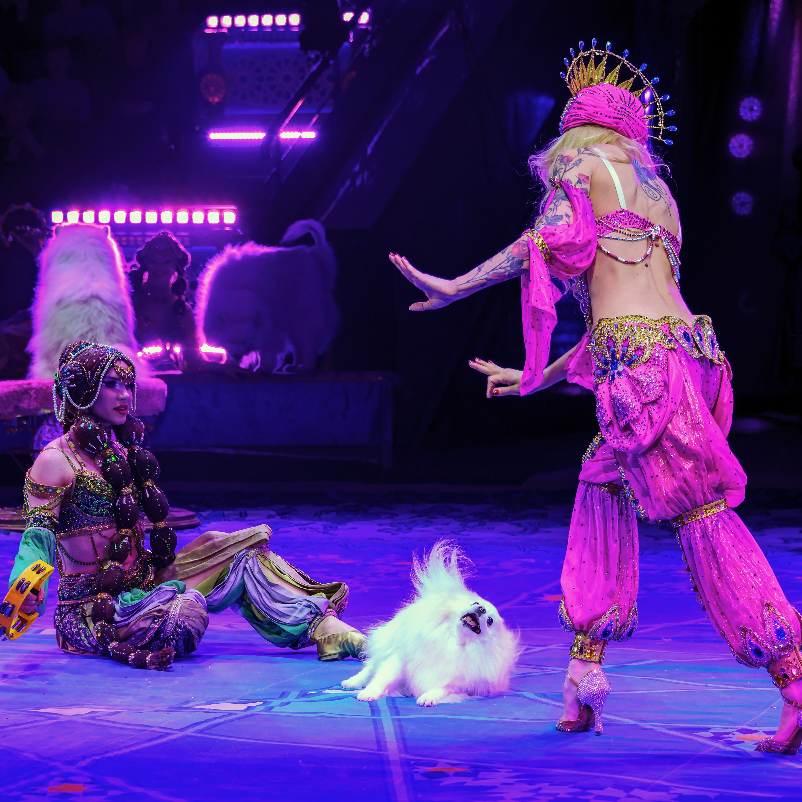 Песчаная сказка Гии Эрадзе — волшебное шоу 🎪, которое должен увидеть каждый, кто ценит красоту🌹, талант 🎭 и умение мечтать 💫. Цирковой фотограф Андрей Пухов (Jazz)