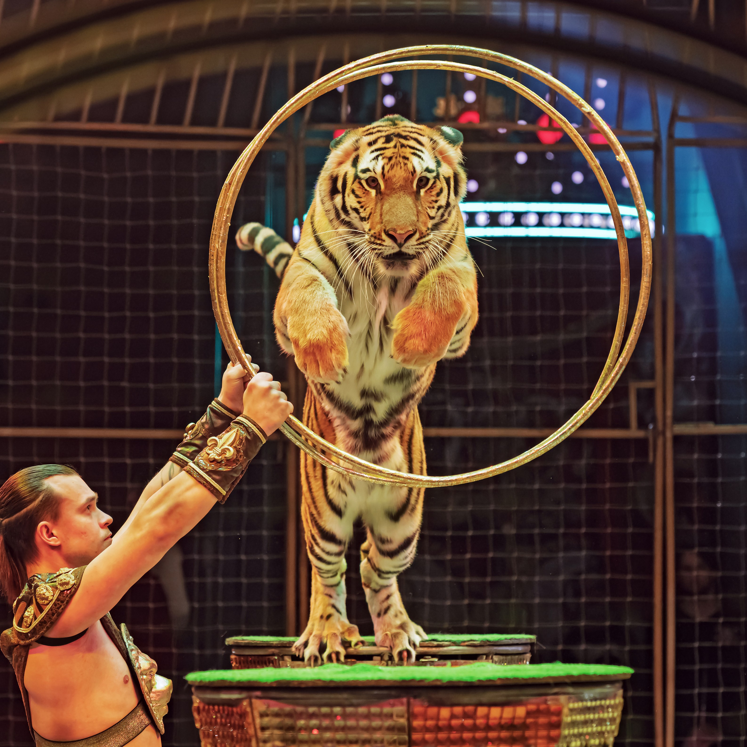 ГРАНДИОЗНОЕ ЦИРКОВОЕ ШОУ ЗАСЛУЖЕННОГО АРТИСТА РОССИИ ГИИ ЭРАДЗЕ. Фотограф Андрей Пухов (Jazz)