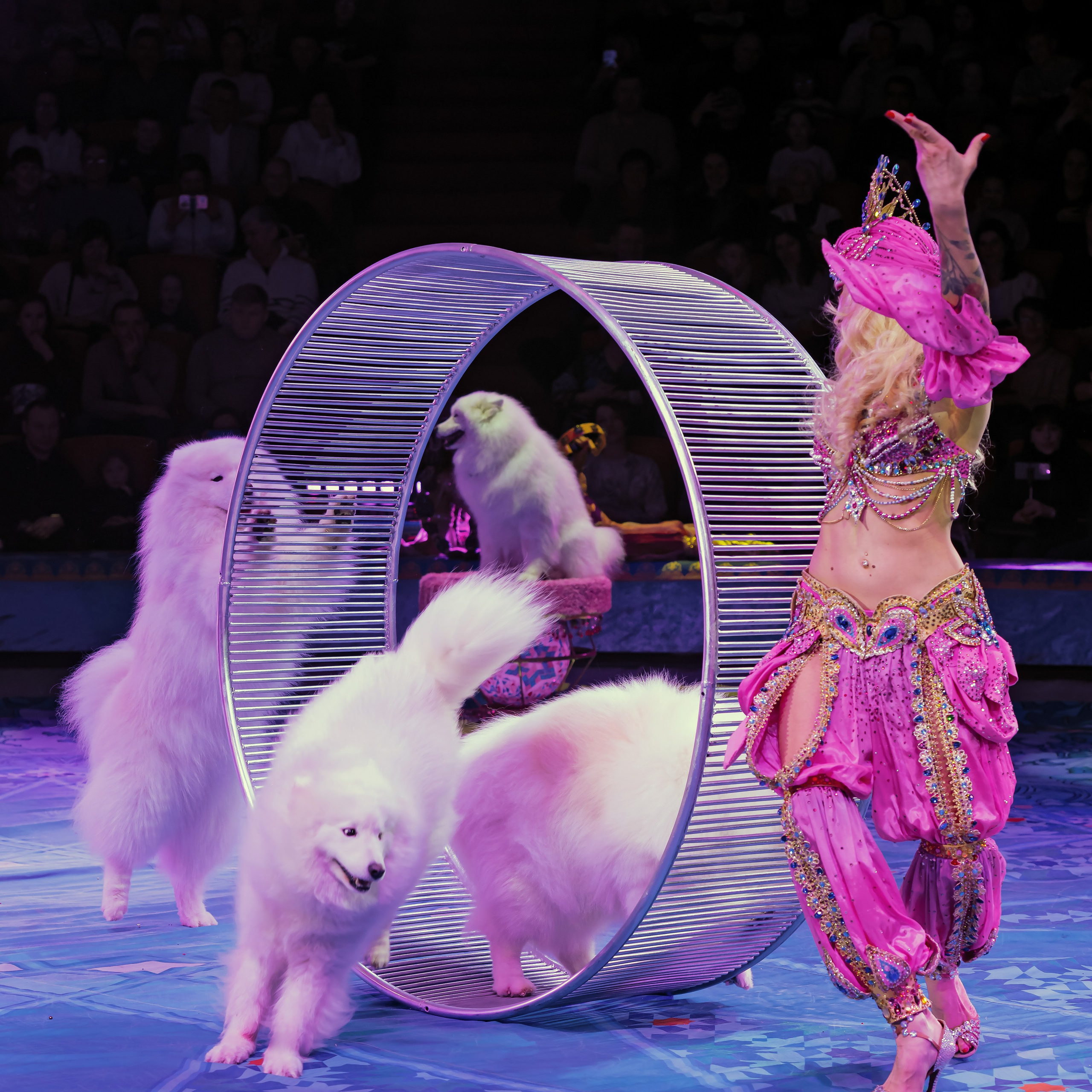 Песчаная сказка — Нижегородский Государственный Цирк (Премьера). Цирковой фотограф Андрей Пухов (Jazz)