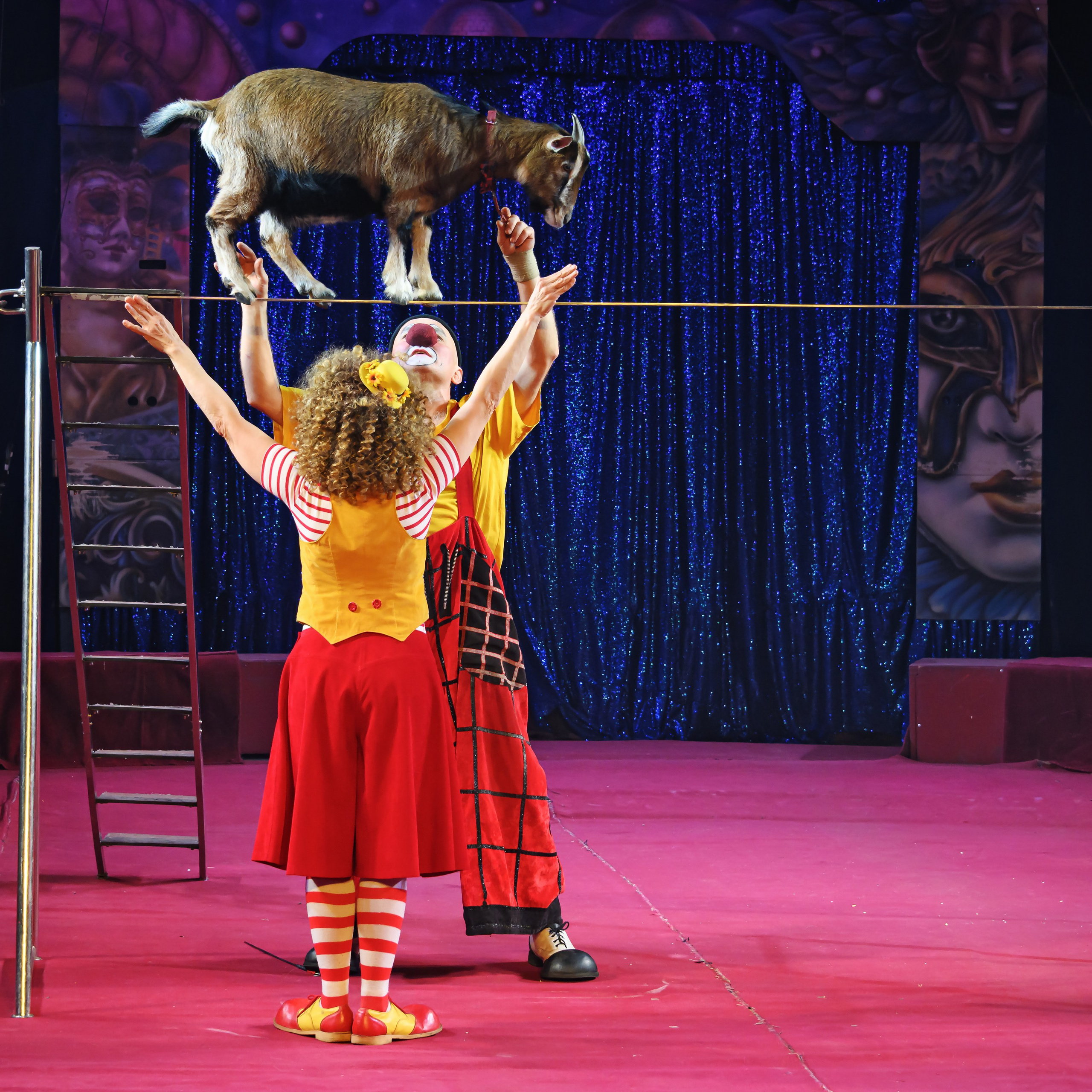 Международный цирк"HAPPY CIRCUS». Фотограф Андрей Пухов (Jazz)