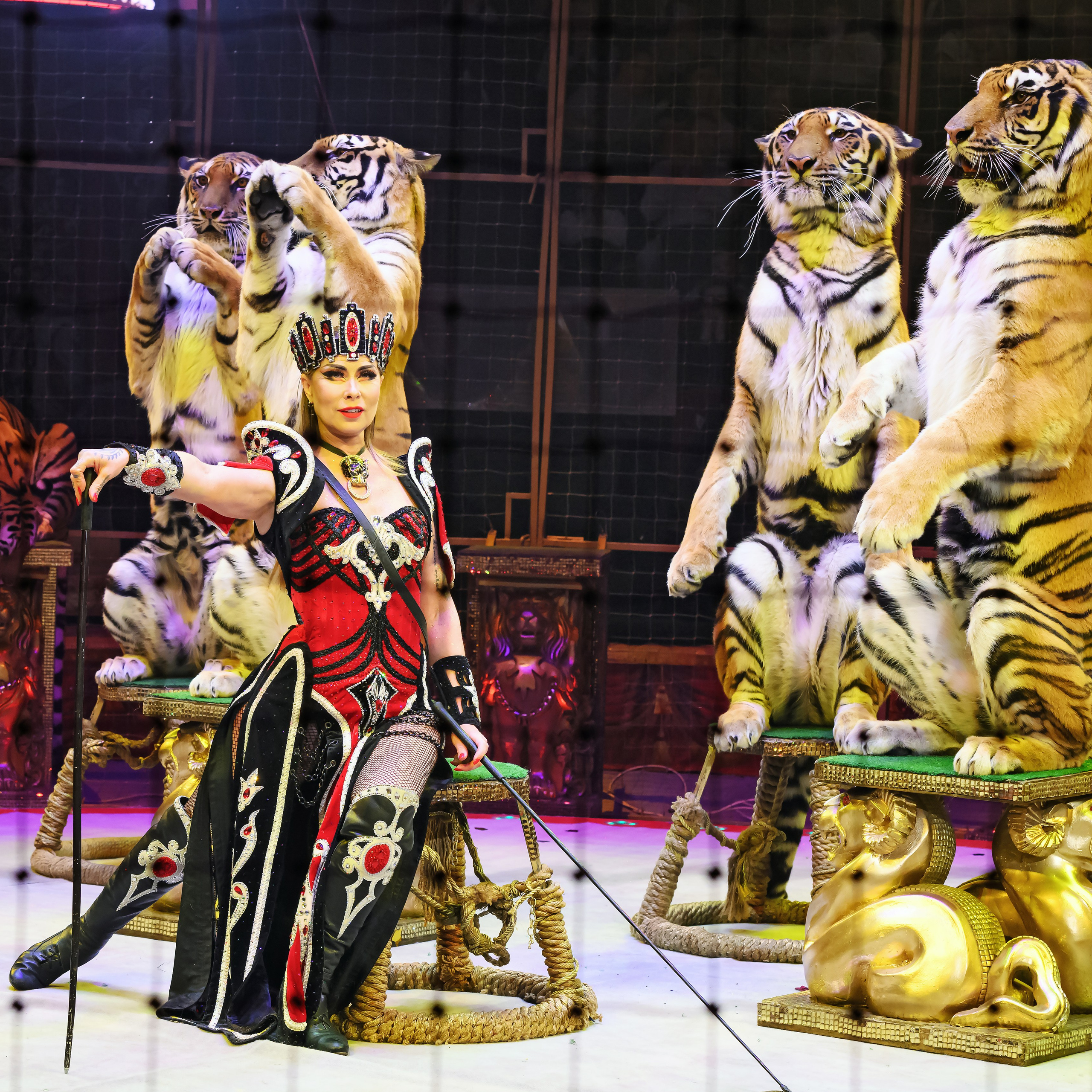 ГРАНДИОЗНОЕ ЦИРКОВОЕ ШОУ ЗАСЛУЖЕННОГО АРТИСТА РОССИИ ГИИ ЭРАДЗЕ. Фотограф Андрей Пухов (Jazz)