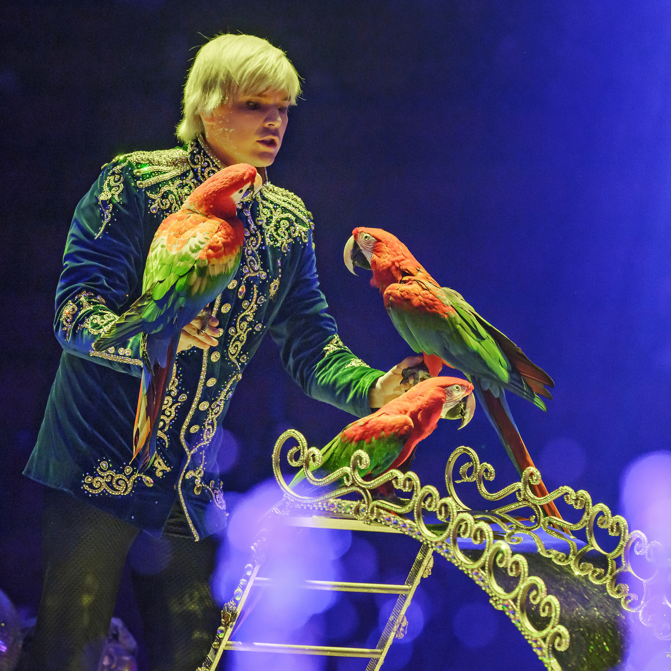 Принц Цирка (Продюсерский центр Влада Гончарова)🎪🦁. Фотограф Андрей Пухов (Jazz)