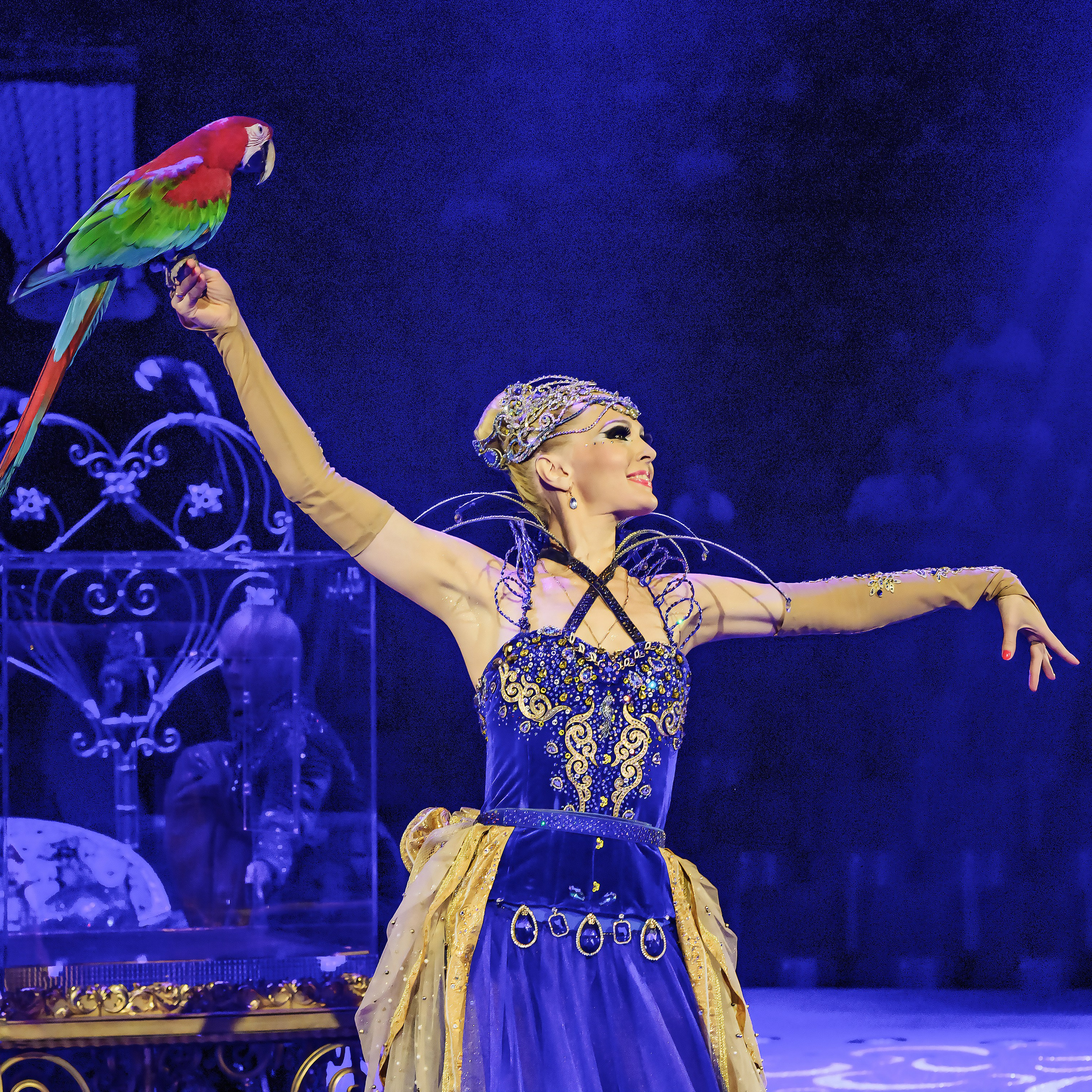 Принц Цирка (Продюсерский центр Влада Гончарова)🎪🦁. Фотограф Андрей Пухов (Jazz)