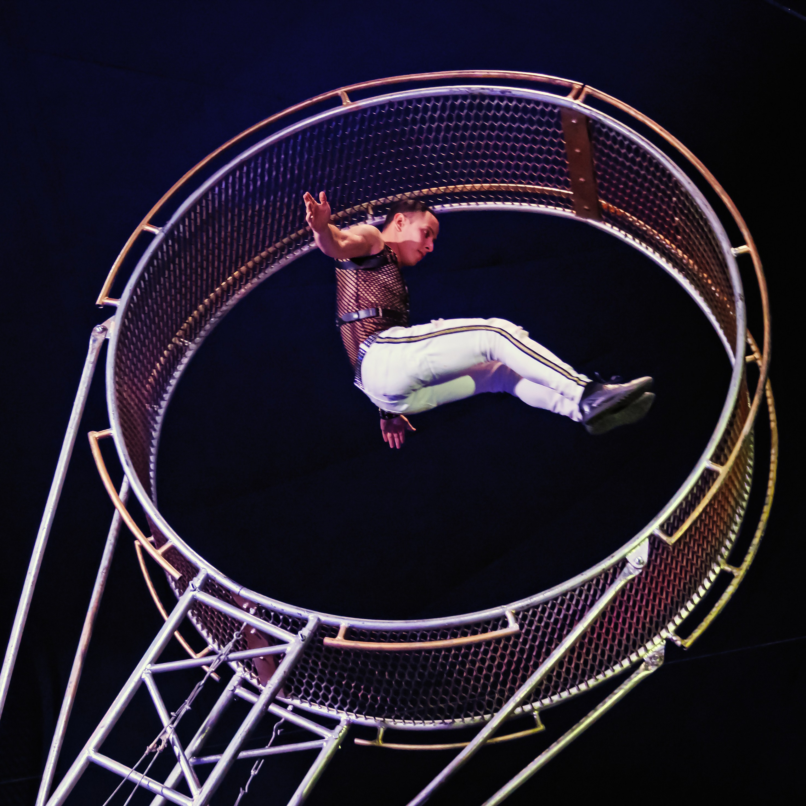 Шоу Демидовых. Цирковой фотограф Андрей Пухов (Jazz)