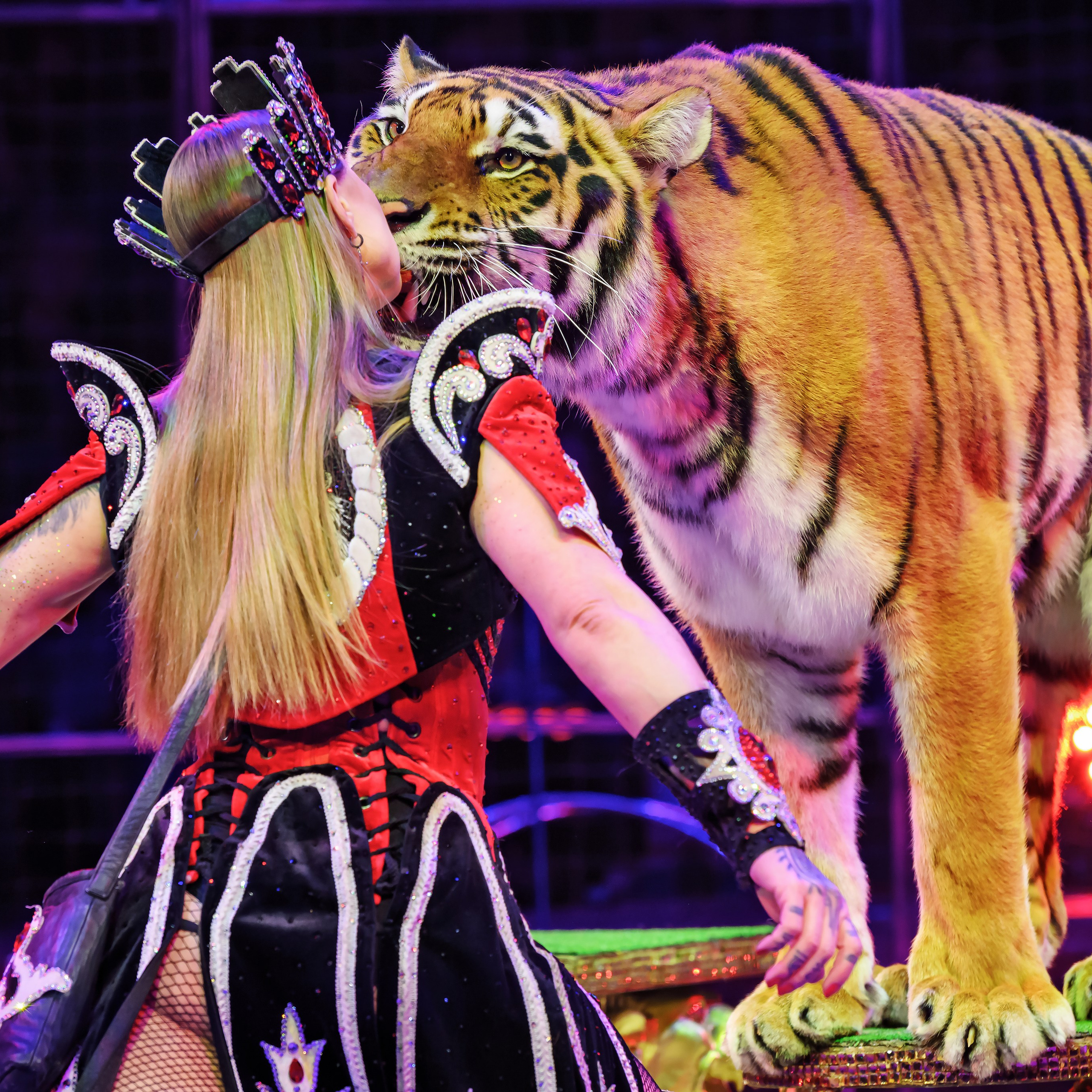 Шоу «Королевский цирк». Фотограф Андрей Пухов (Jazz)