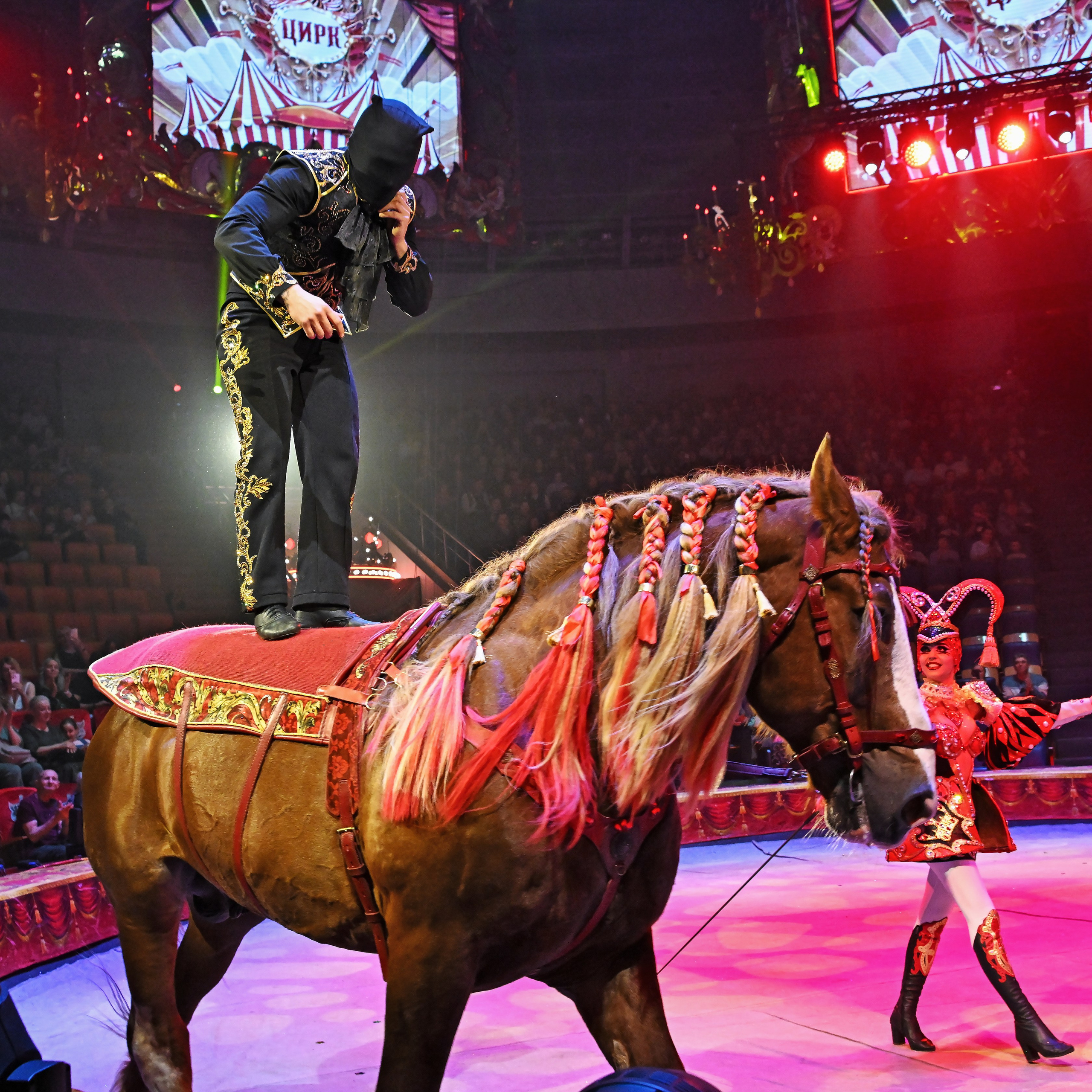 Вечное искусство удивлять: Королевский цирк Гии Эрадзе 👑 Роскошь здесь в каждой детали 💫✨⭐. Фотограф Андрей Пухов (Jazz)