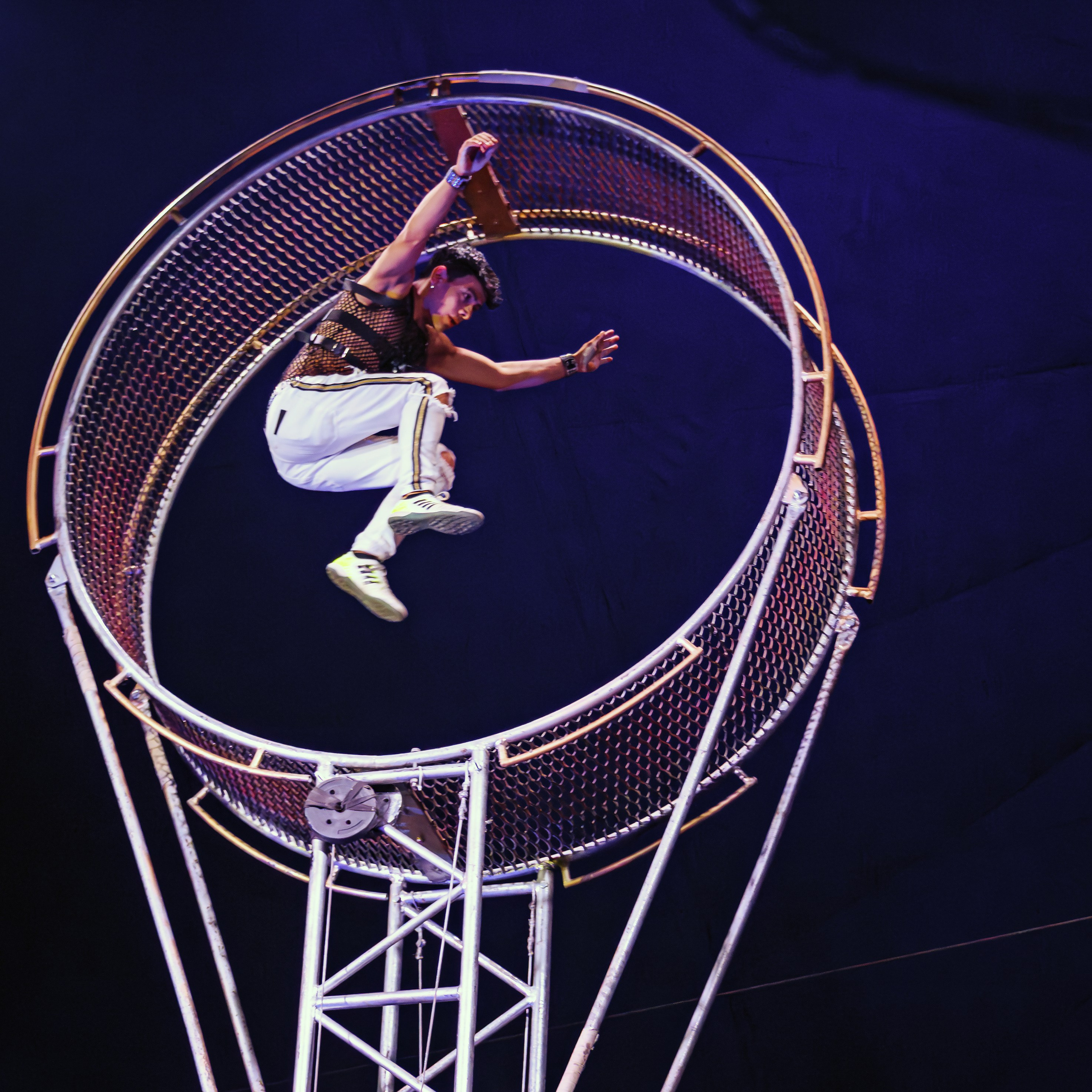 Шоу Демидовых. Цирковой фотограф Андрей Пухов (Jazz)