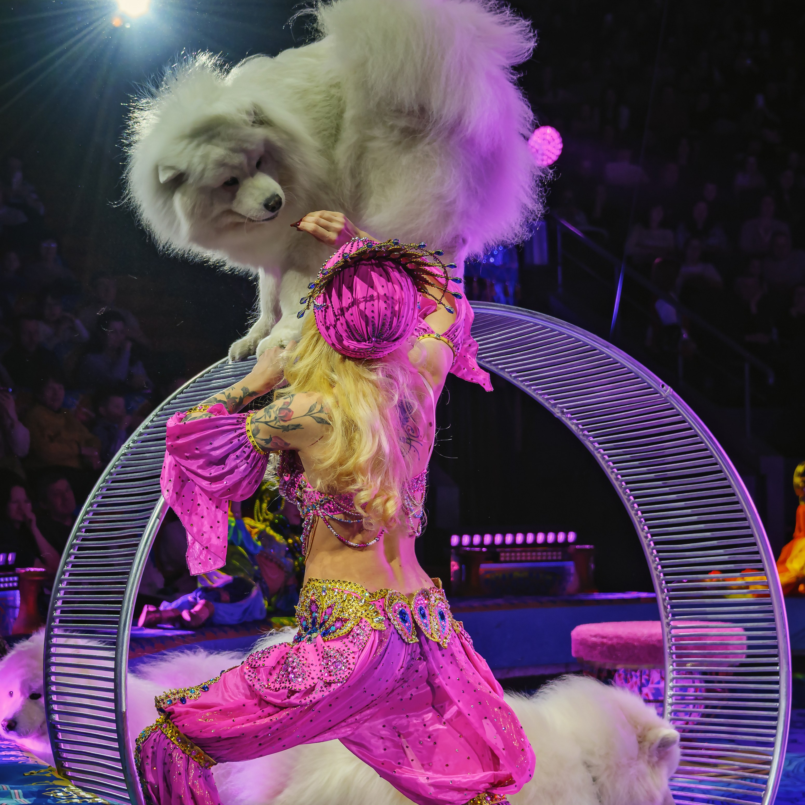 Песчаная сказка Гии Эрадзе — волшебное шоу 🎪, которое должен увидеть каждый, кто ценит красоту🌹, талант 🎭 и умение мечтать 💫. Цирковой фотограф Андрей Пухов (Jazz)