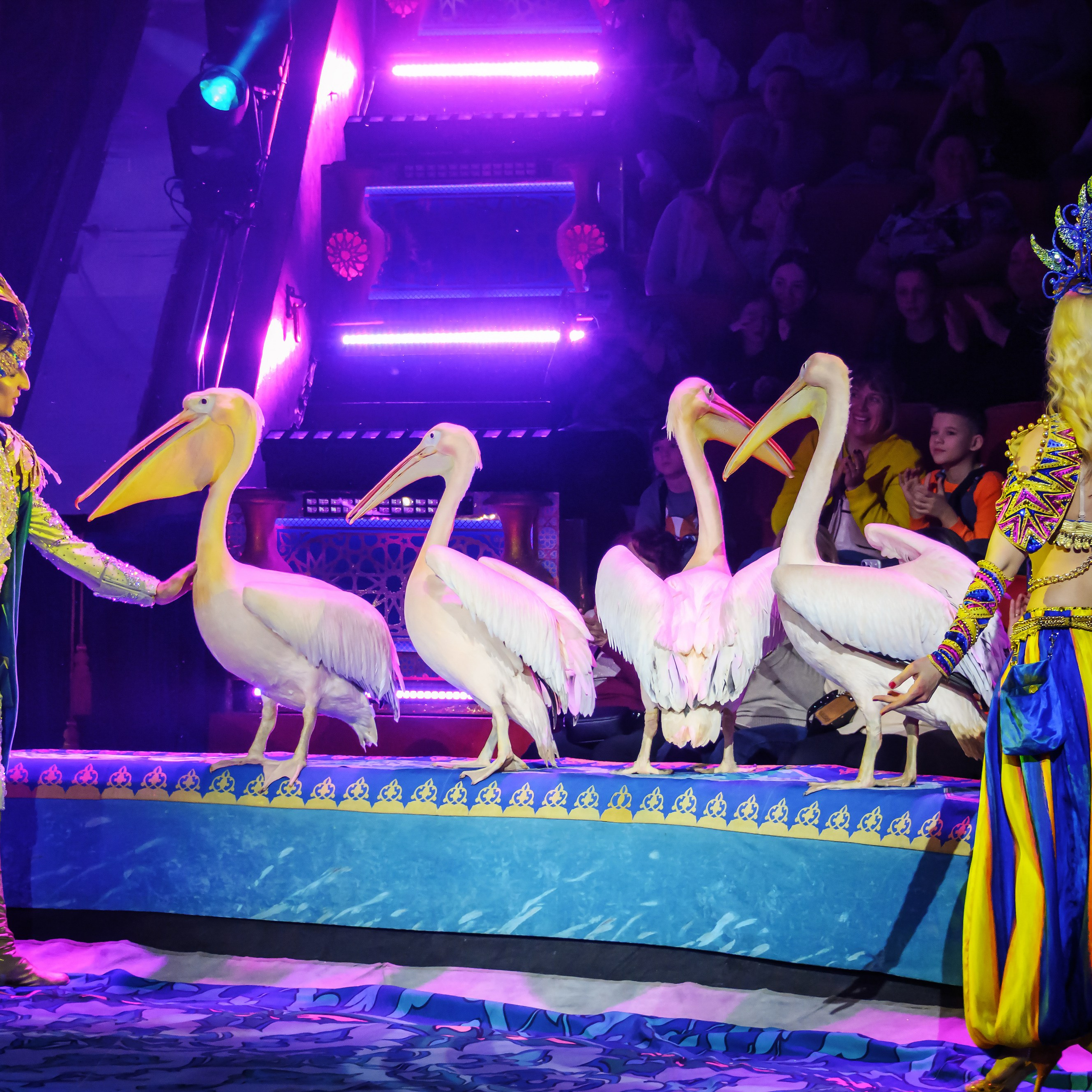 Песчаная сказка Гии Эрадзе — волшебное шоу 🎪, которое должен увидеть каждый, кто ценит красоту🌹, талант 🎭 и умение мечтать 💫. Цирковой фотограф Андрей Пухов (Jazz)