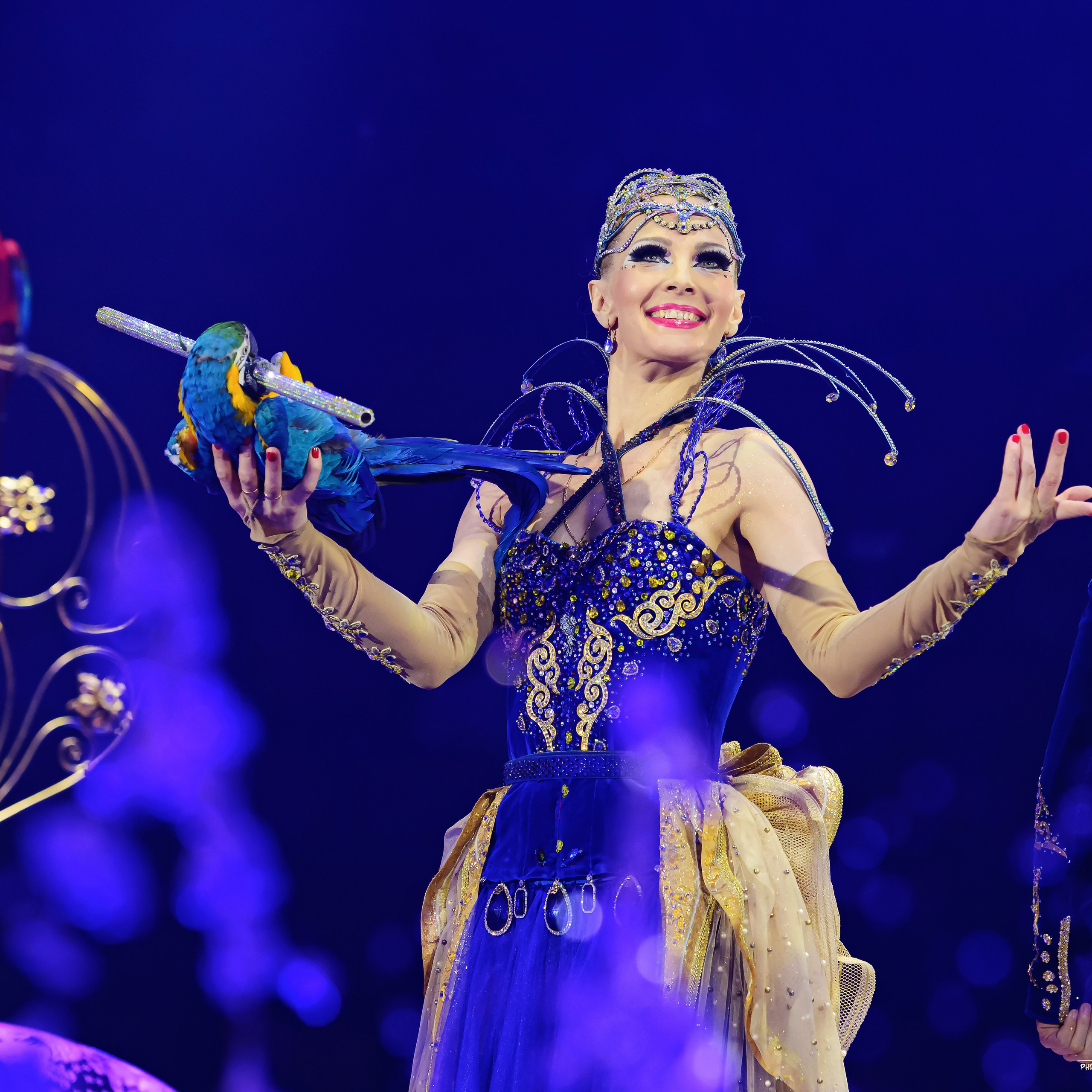 Принц Цирка (Продюсерский центр Влада Гончарова)🎪🦁. Фотограф Андрей Пухов (Jazz)