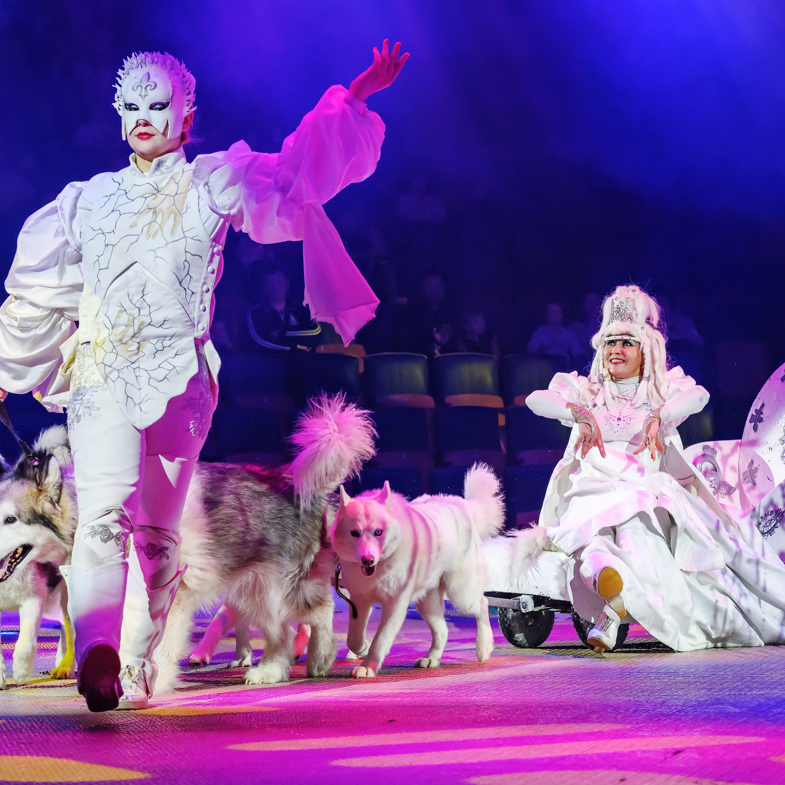 Принц Цирка (Продюсерский центр Влада Гончарова)🎪🦁. Фотограф Андрей Пухов (Jazz)