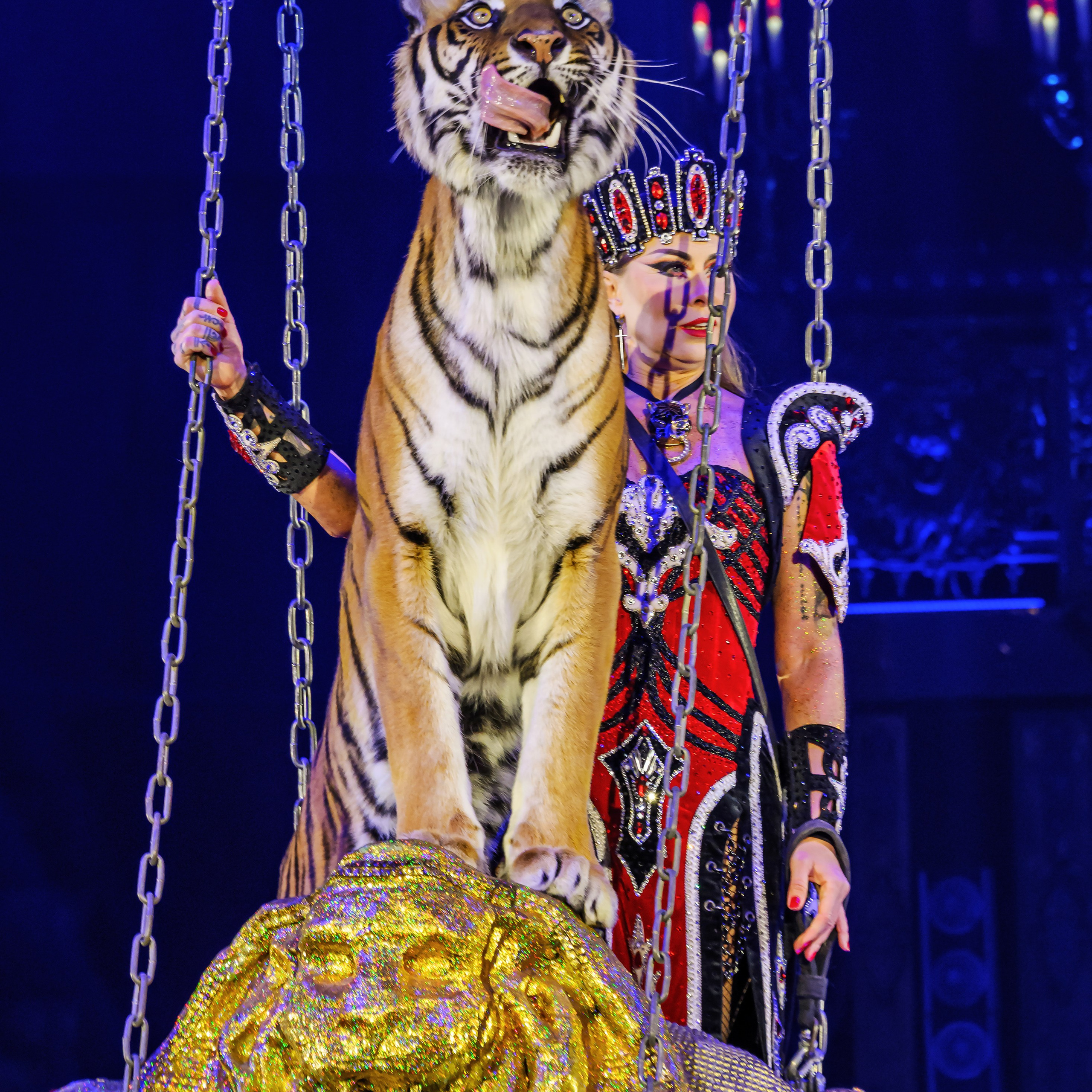 Вечное искусство удивлять: Королевский цирк Гии Эрадзе 👑 Роскошь здесь в каждой детали 💫✨⭐. Фотограф Андрей Пухов (Jazz)