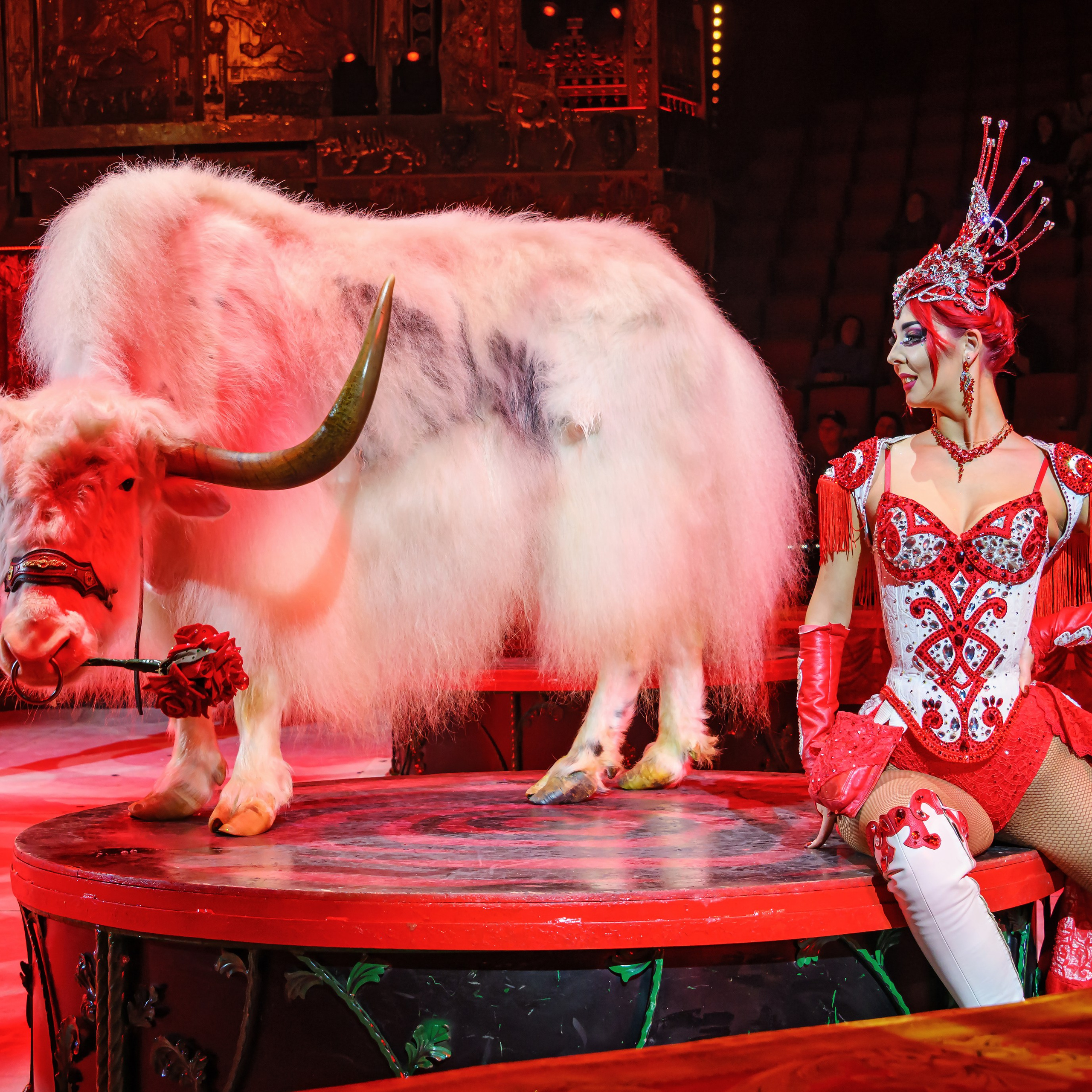 Вечное искусство удивлять: Королевский цирк Гии Эрадзе 👑 Роскошь здесь в каждой детали 💫✨⭐. Фотограф Андрей Пухов (Jazz)