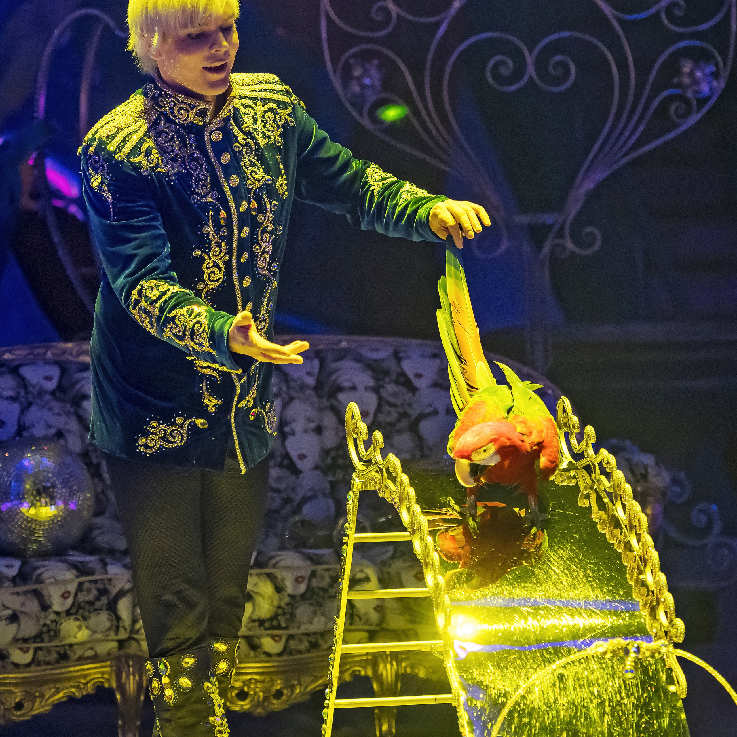 Принц Цирка (Продюсерский центр Влада Гончарова)🎪🦁. Фотограф Андрей Пухов (Jazz)