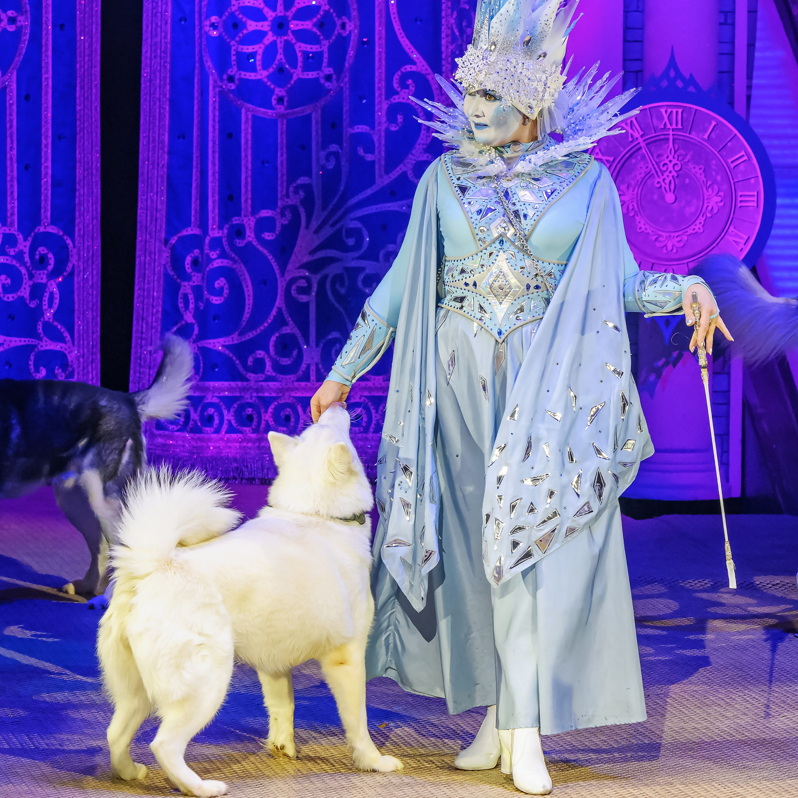 «13 месяцев. Шоу ледяных фонтанов»❄💙. Фотограф Андрей Пухов (Jazz)