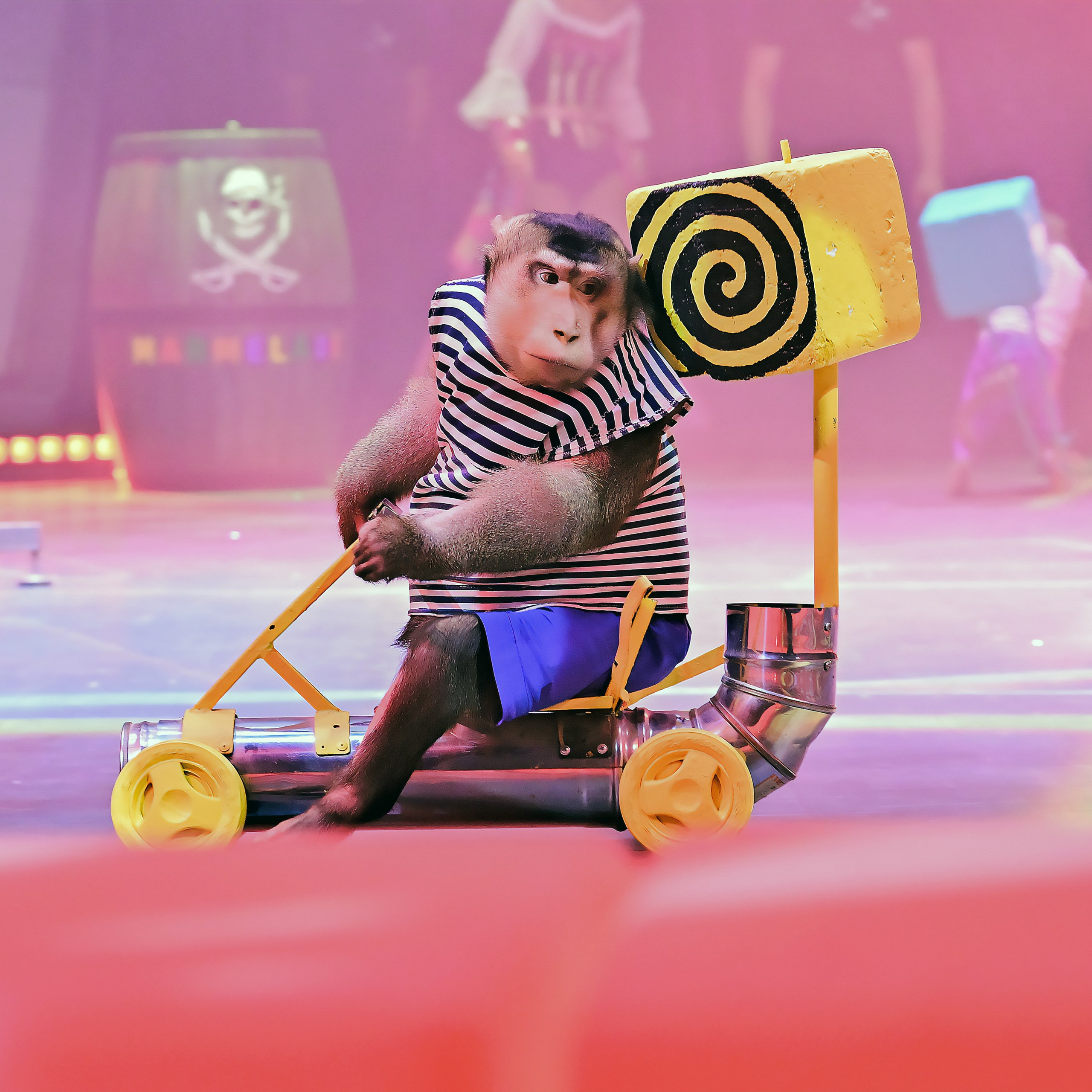 🍭Вкусное шоу «WOW»🍫. Фотограф Андрей Пухов (Jazz)