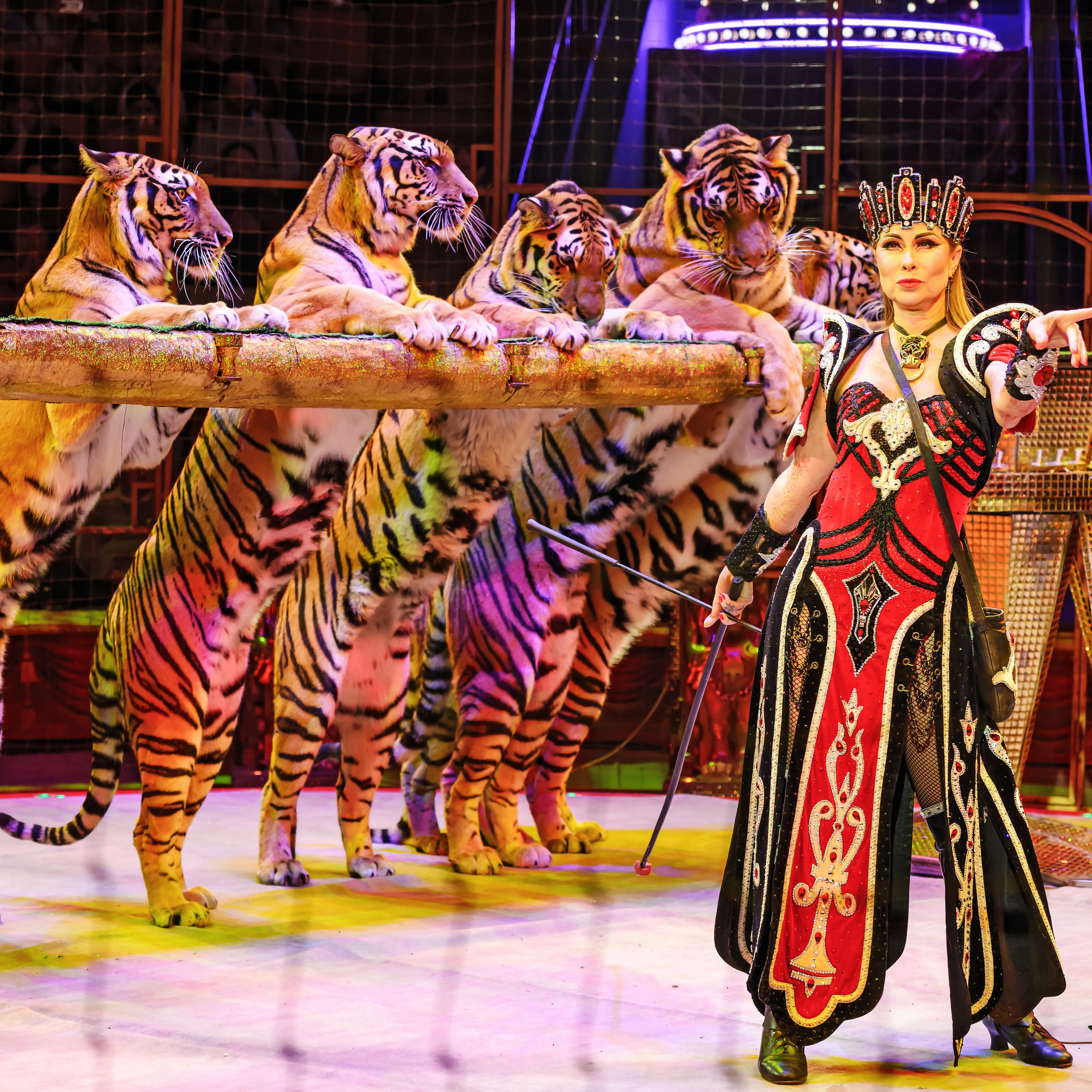 Шоу «Королевский цирк». Фотограф Андрей Пухов (Jazz)