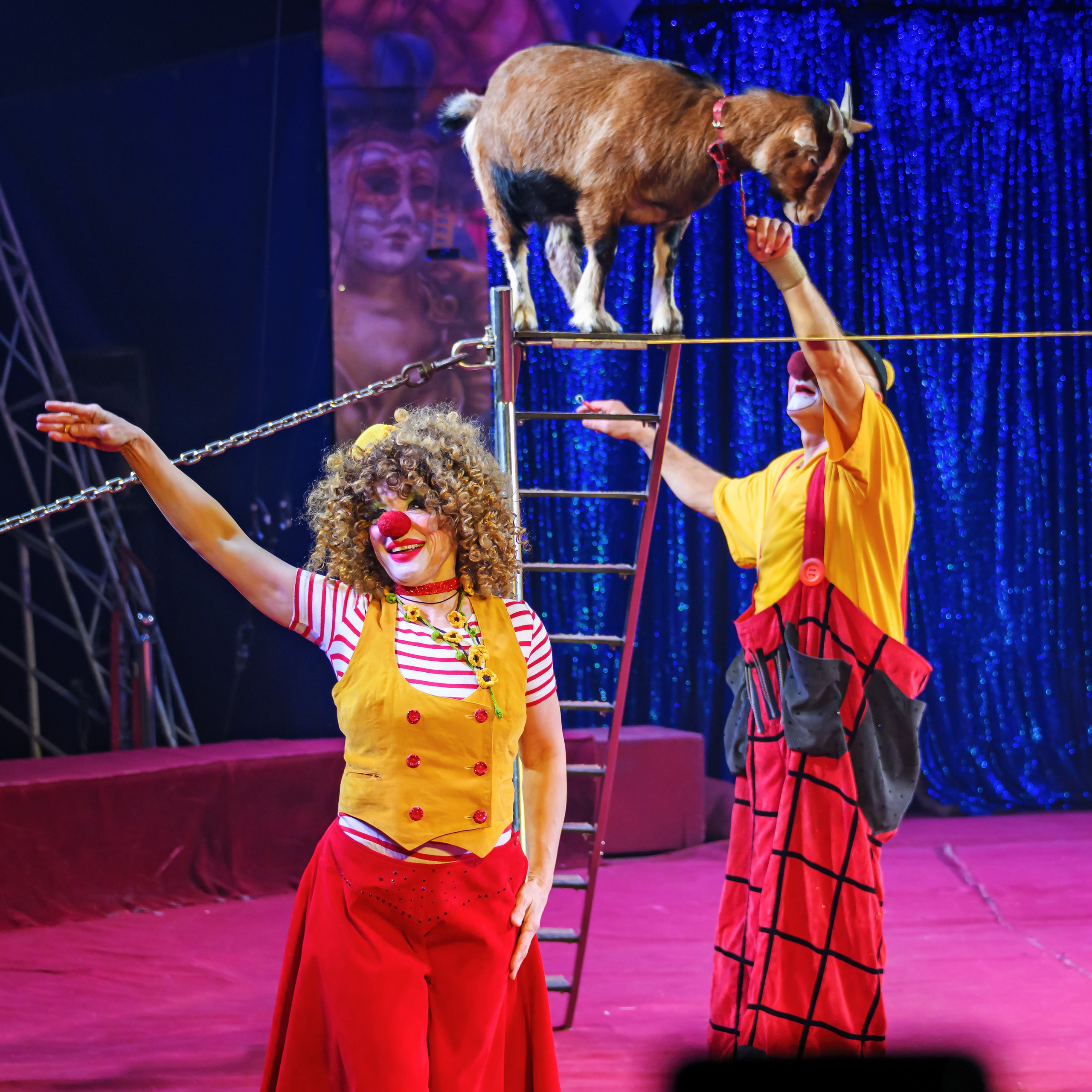 Международный цирк"HAPPY CIRCUS». Фотограф Андрей Пухов (Jazz)