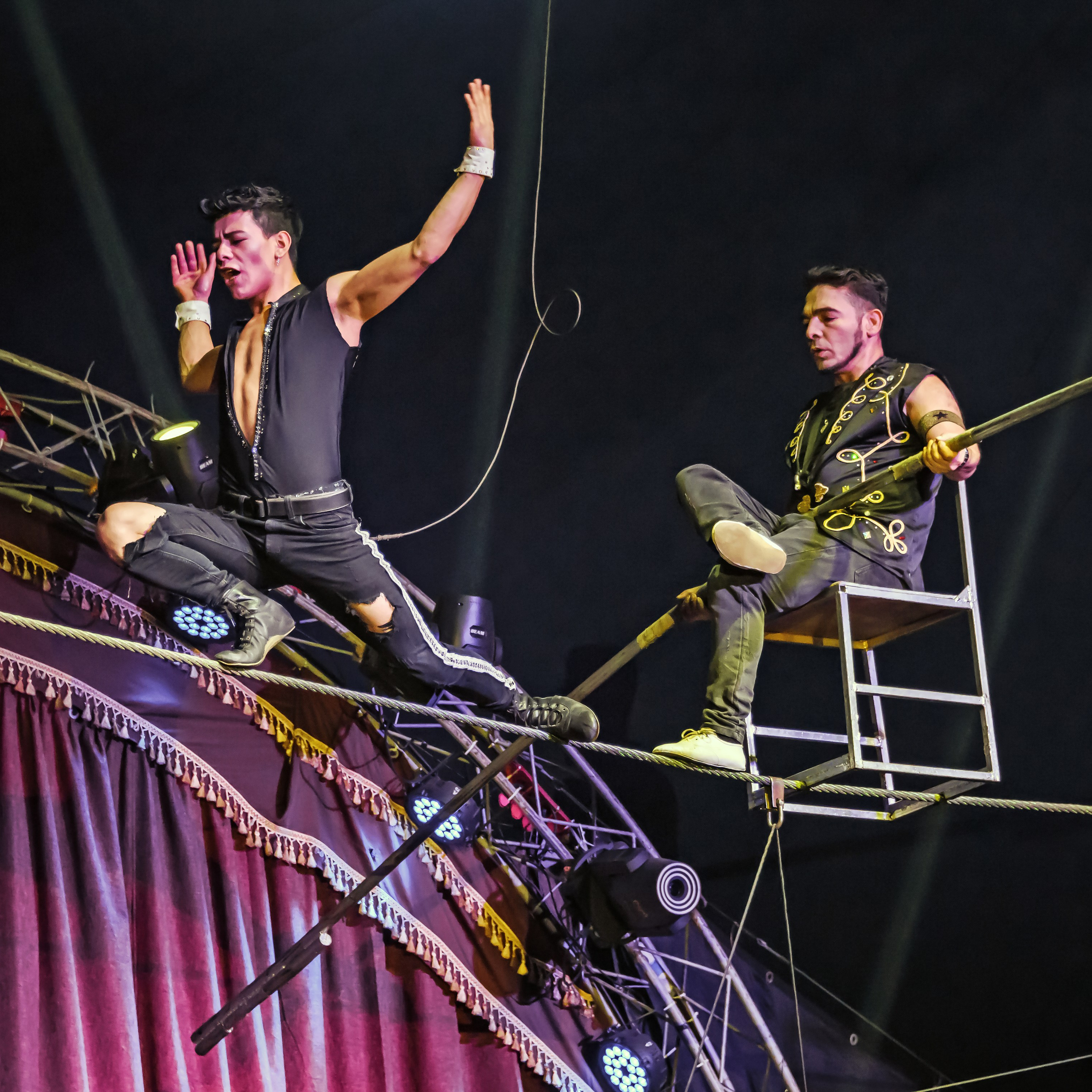 Шоу Демидовых. Цирковой фотограф Андрей Пухов (Jazz)