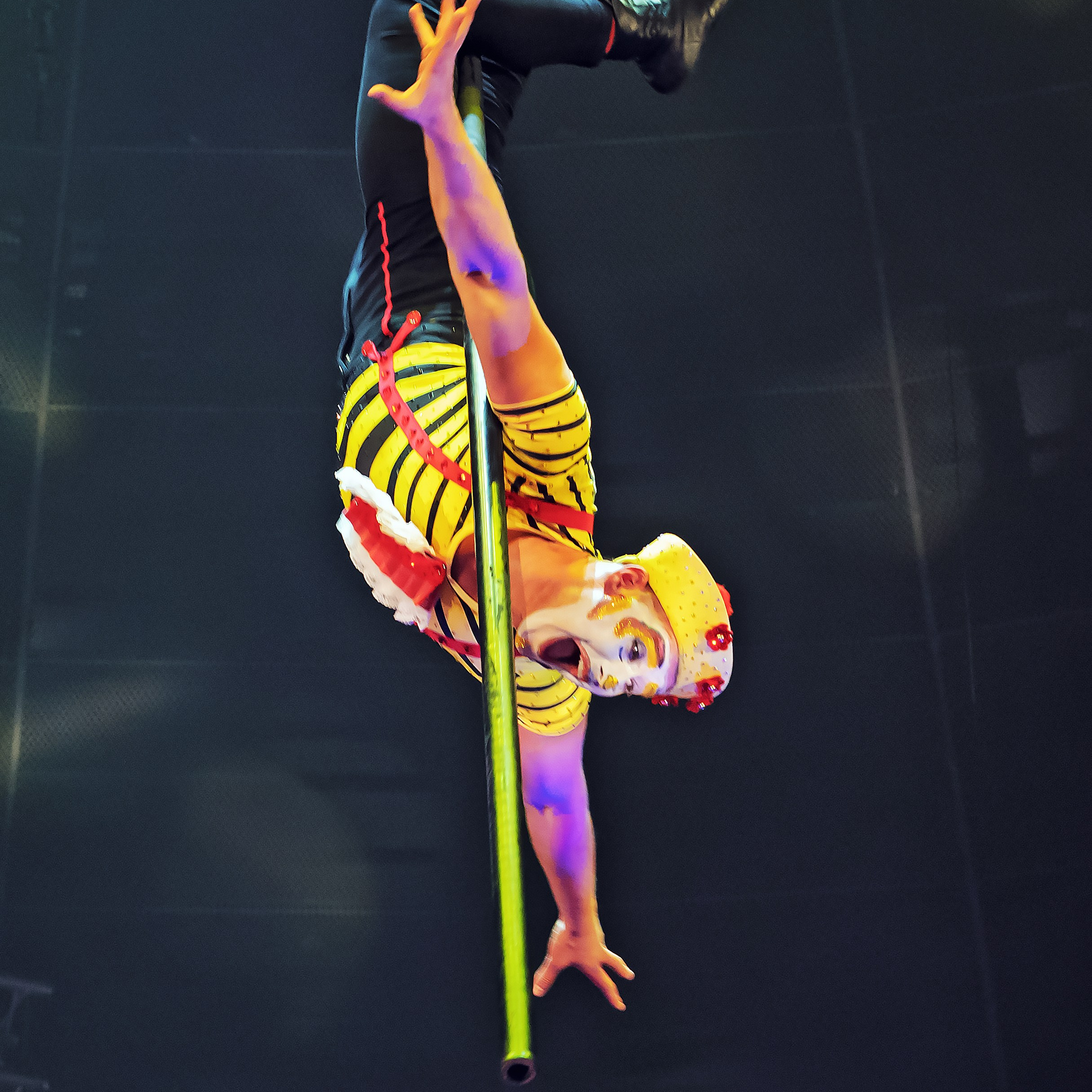 Шоу «Королевский цирк». Фотограф Андрей Пухов (Jazz)