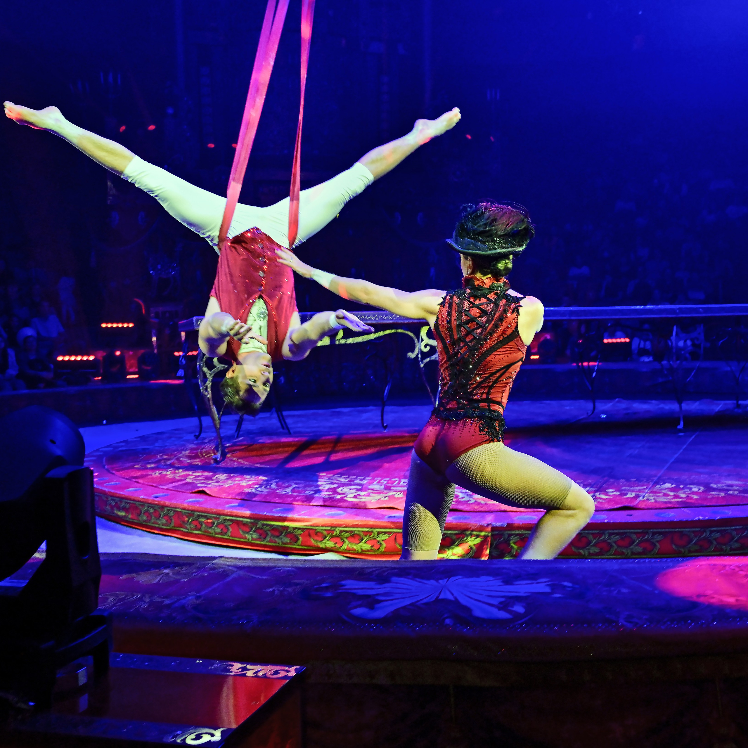 Шоу «Королевский цирк». Фотограф Андрей Пухов (Jazz)