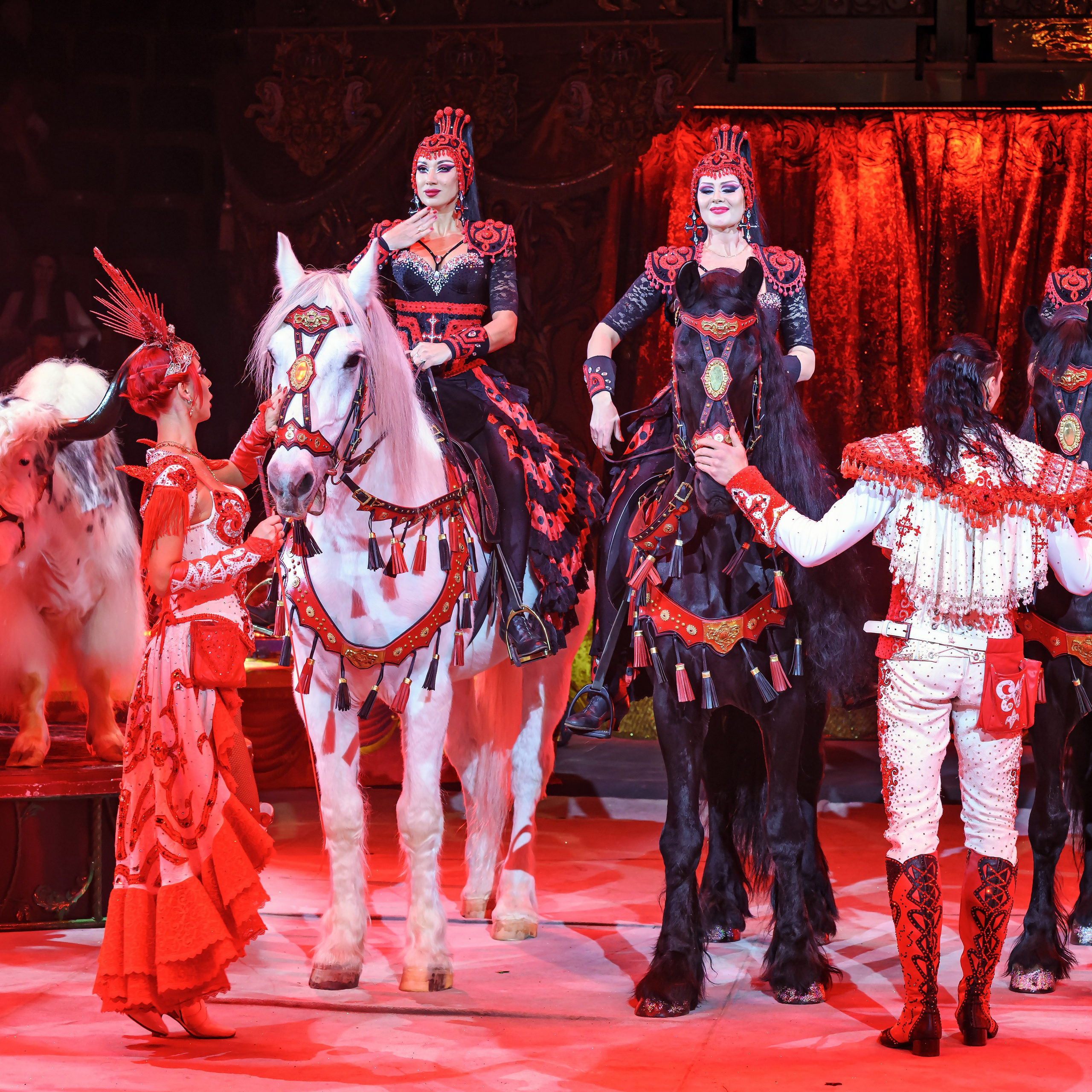 Шоу «Королевский цирк». Фотограф Андрей Пухов (Jazz)