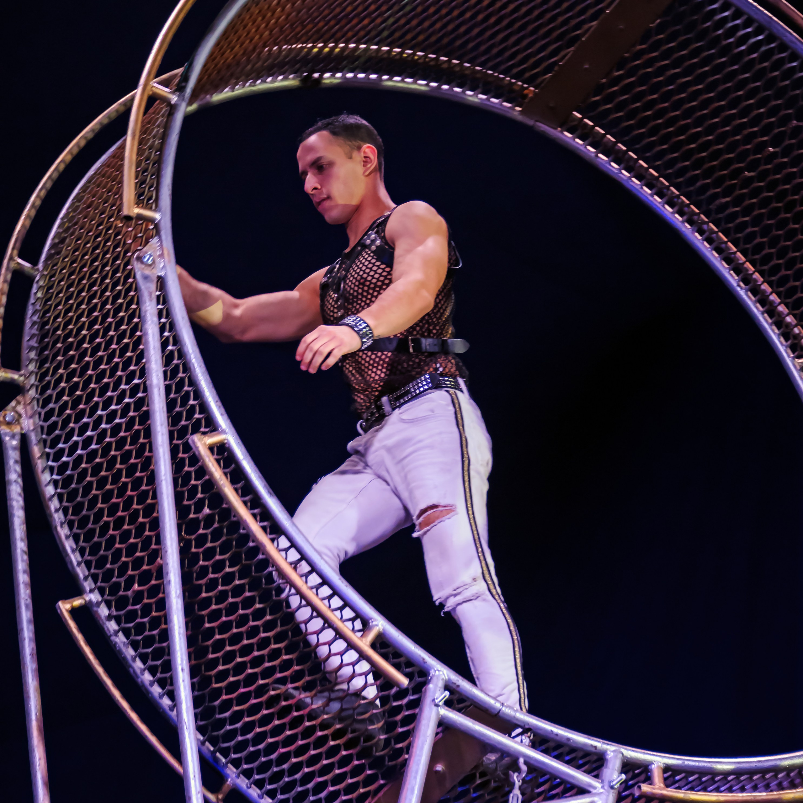 Шоу Демидовых. Цирковой фотограф Андрей Пухов (Jazz)