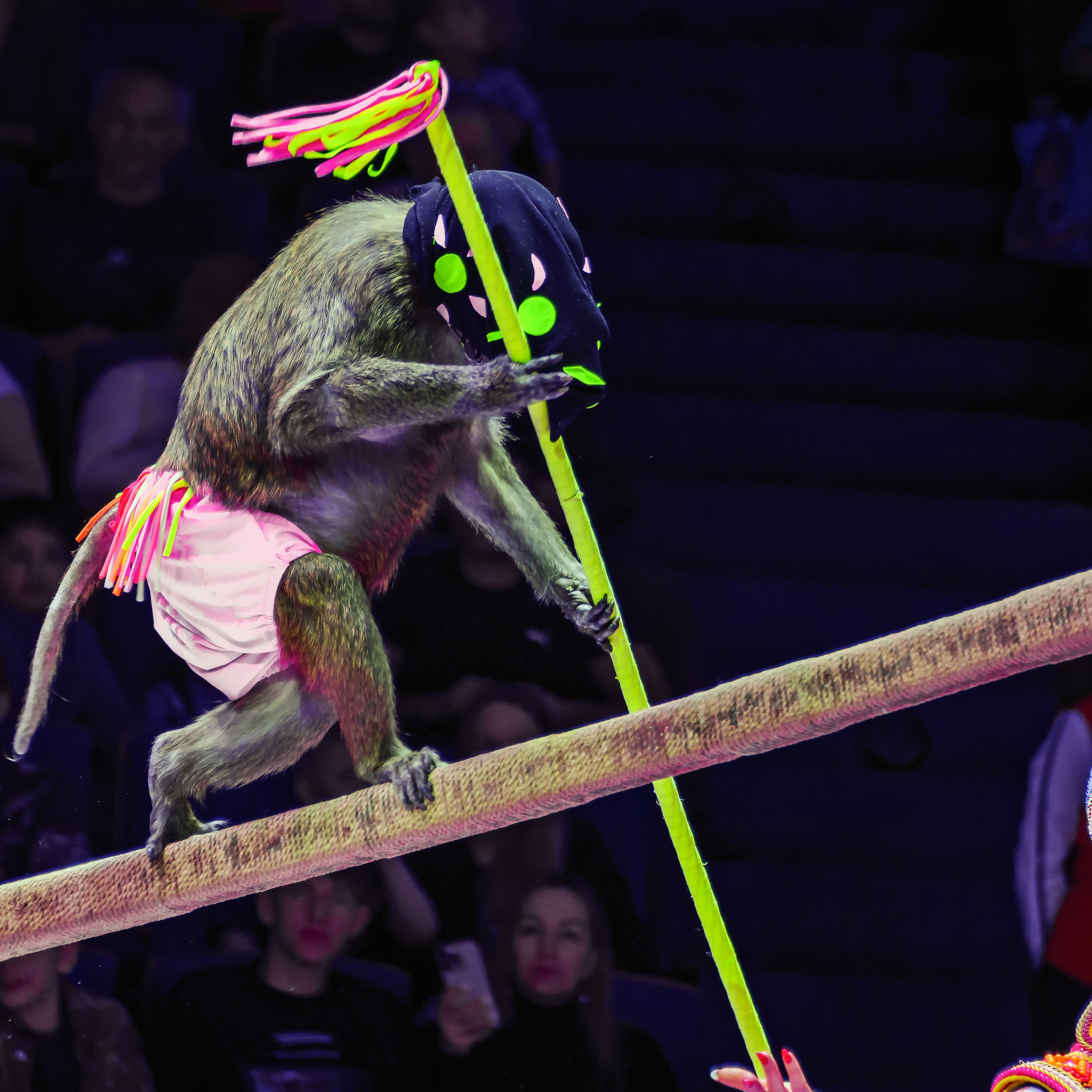 Песчаная сказка Гии Эрадзе — волшебное шоу 🎪, которое должен увидеть каждый, кто ценит красоту🌹, талант 🎭 и умение мечтать 💫. Цирковой фотограф Андрей Пухов (Jazz)