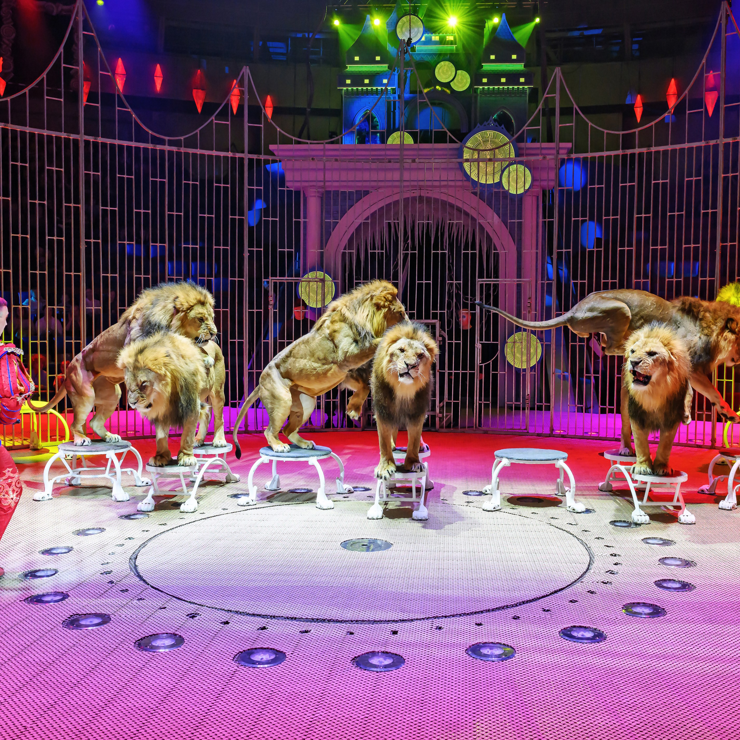 «13 месяцев. Шоу ледяных фонтанов»❄💙. Фотограф Андрей Пухов (Jazz)