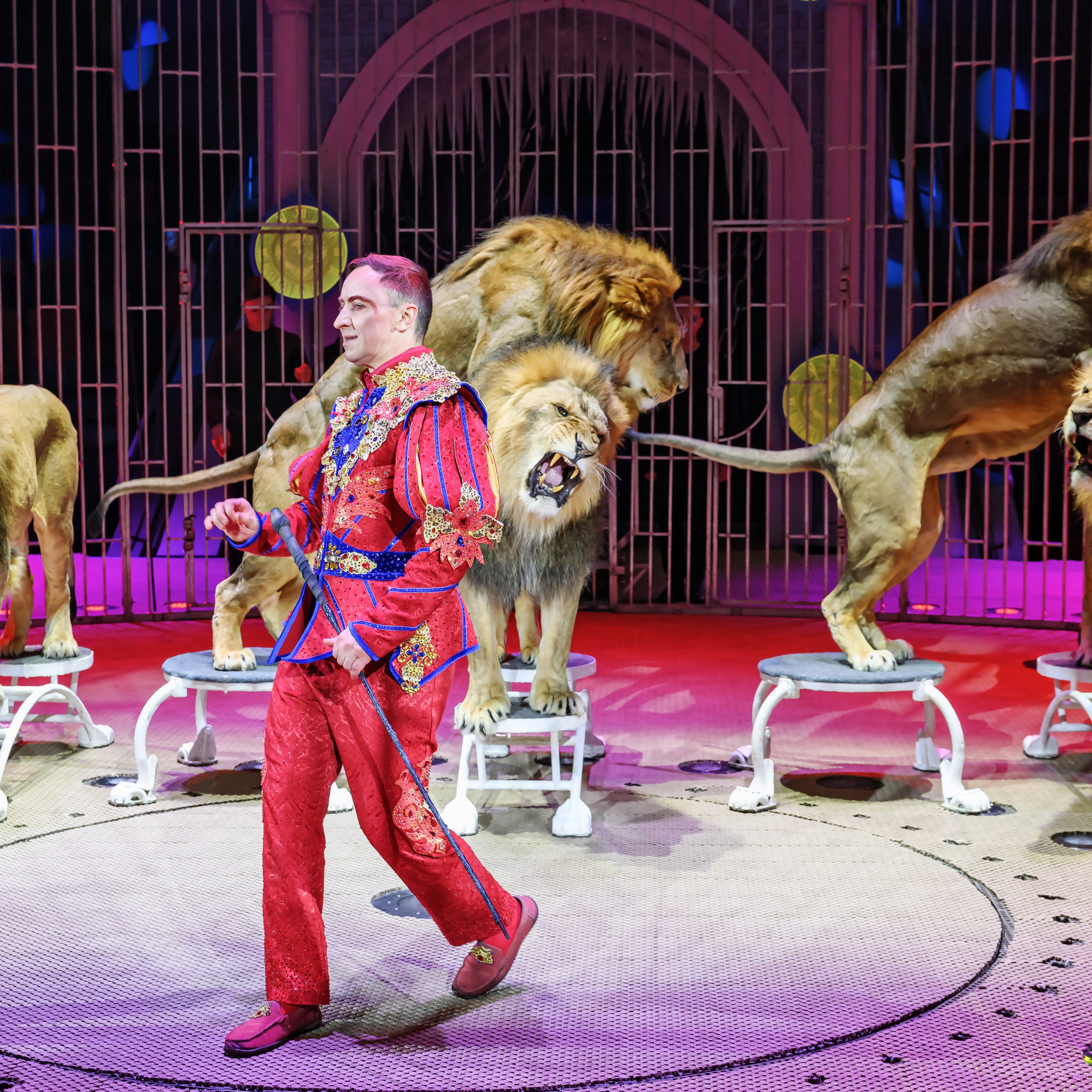 «13 месяцев. Шоу ледяных фонтанов»❄💙. Фотограф Андрей Пухов (Jazz)