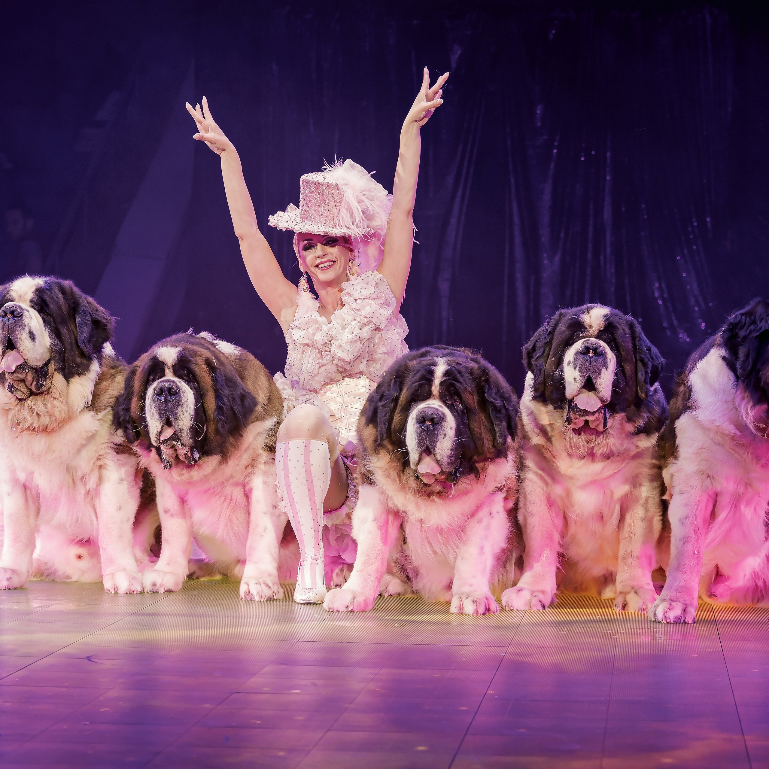 🍭Вкусное шоу «WOW»🍫. Фотограф Андрей Пухов (Jazz)