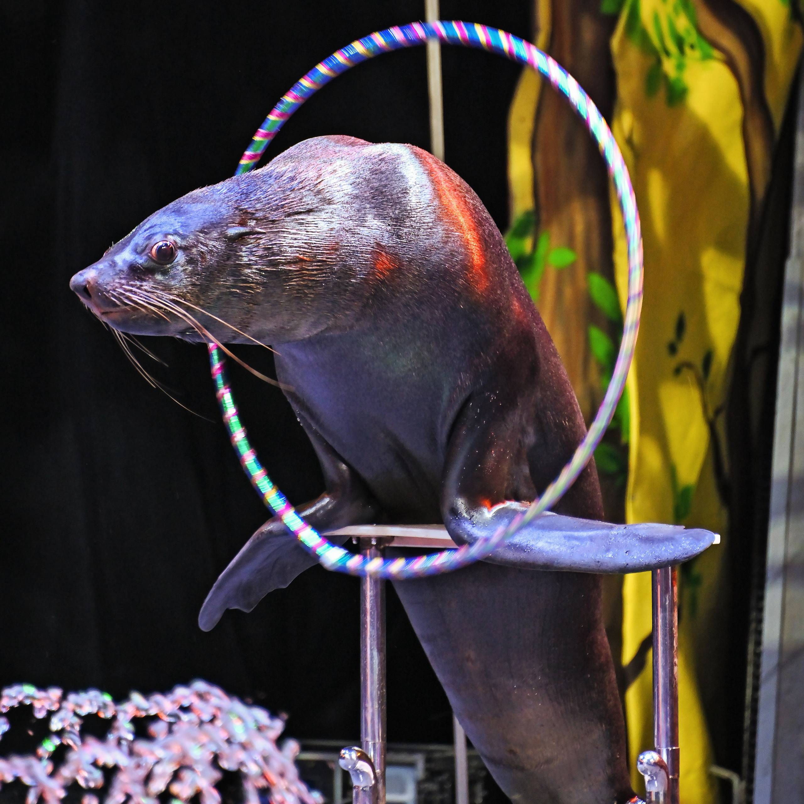 🎪 «Цирк на воде💦 🏰Царство фонтанов**»✨🌊🎭. Фотограф Андрей Пухов (Jazz)