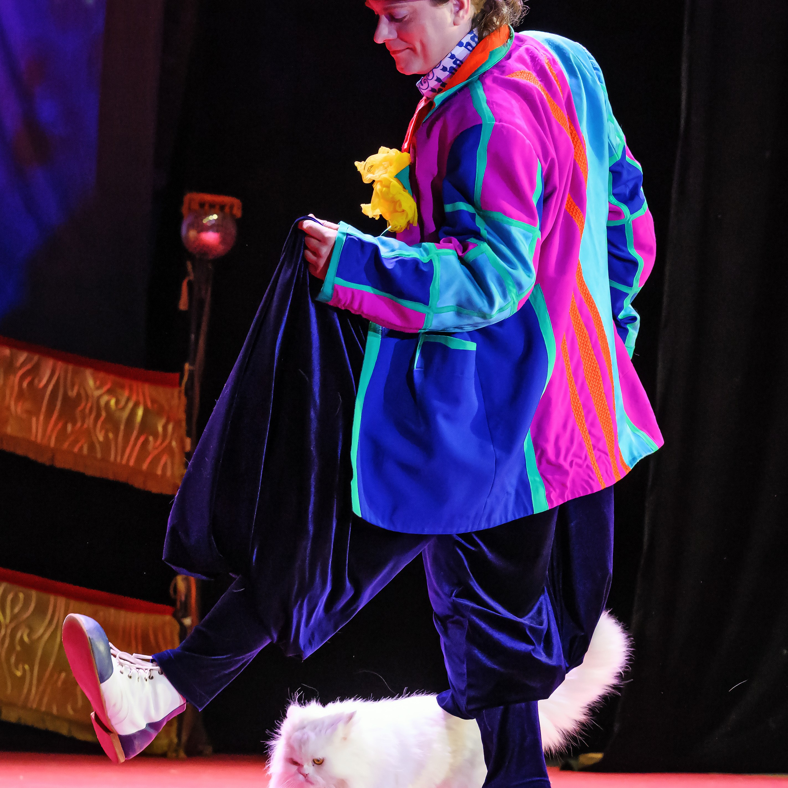 Великий клоун, Народный артист России, Юрий Куклачёв со звёздами эстрады и цирка, уникальный бенефис!. Фотограф Андрей Пухов (Jazz)