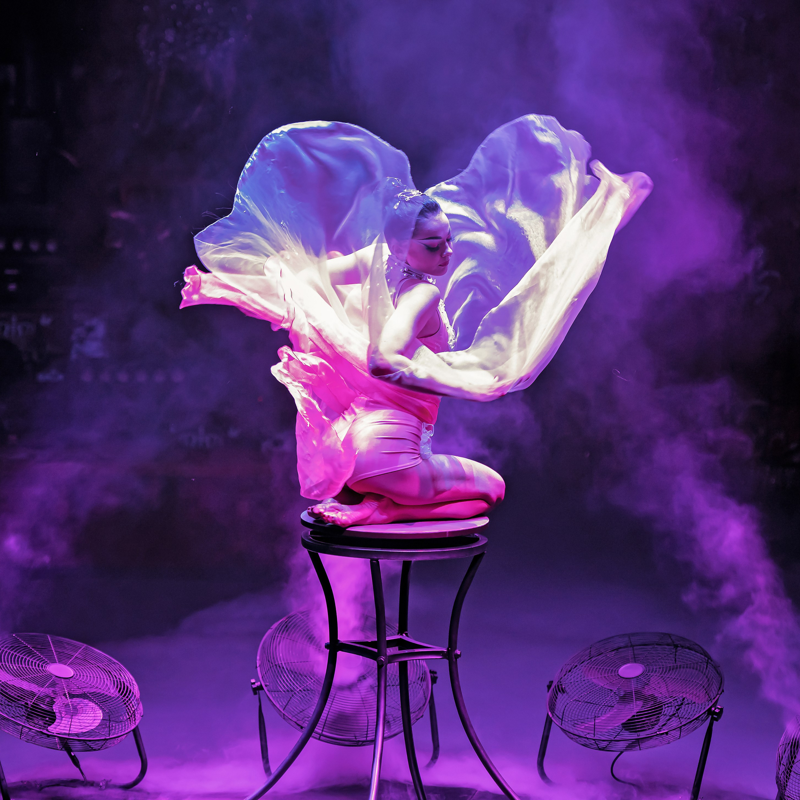 Королевский цирк ПРЕМЬЕРА НН. Фотограф Андрей Пухов (Jazz)